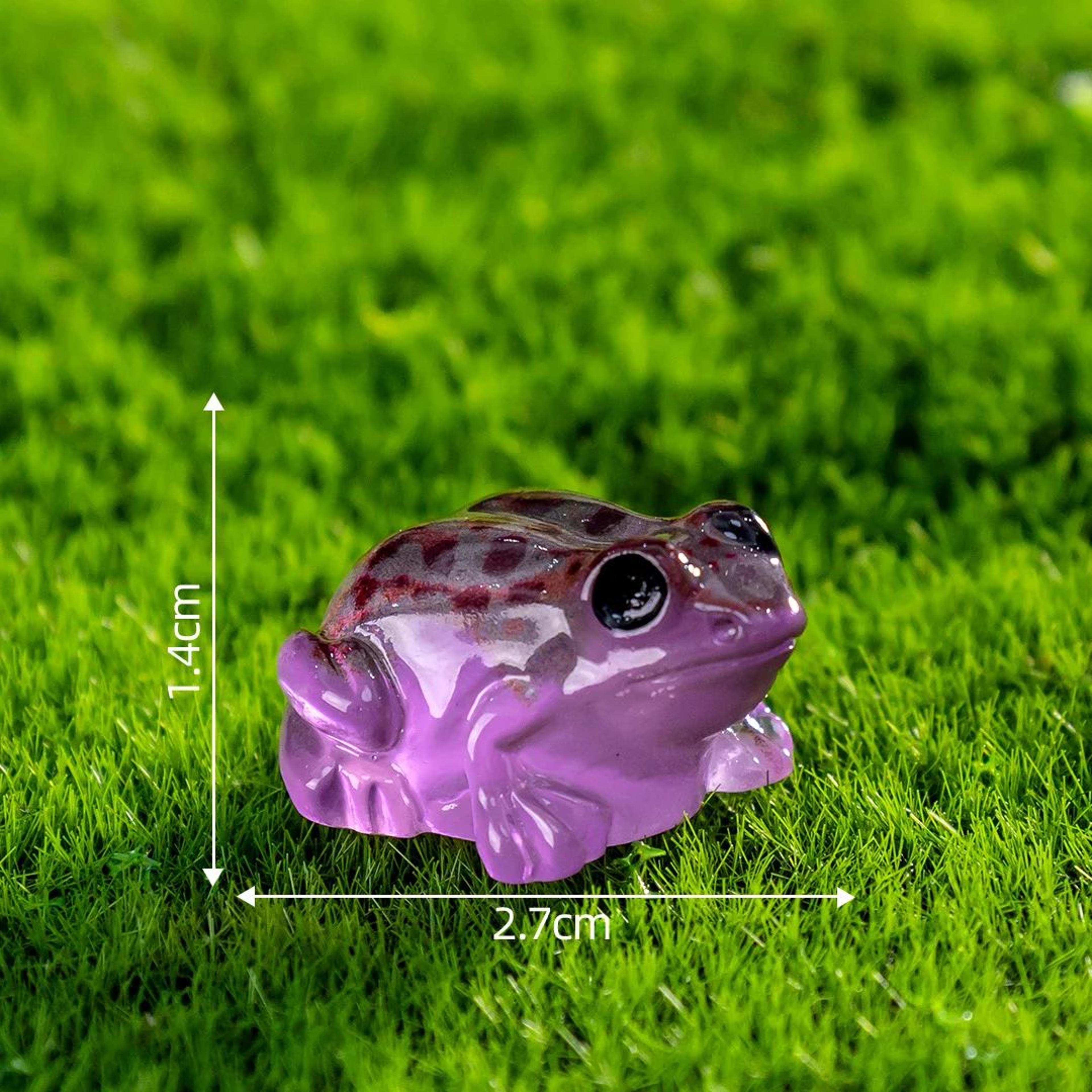 Mini Luminous Frog Figurines For Garden And Terrarium Decor 5