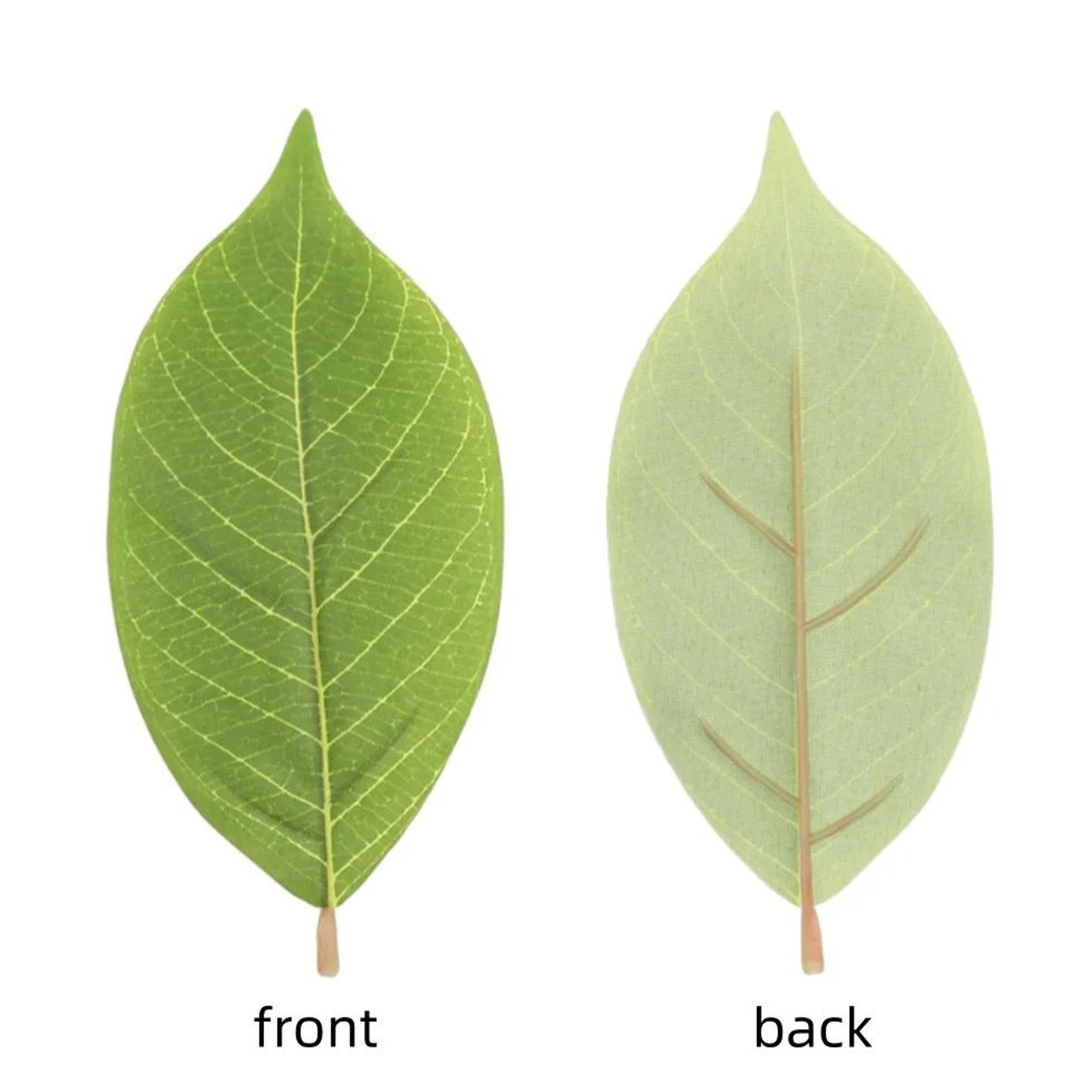 Artificial Magnolia Leaves Set PU Realistic Leaves For DIY Decor 1