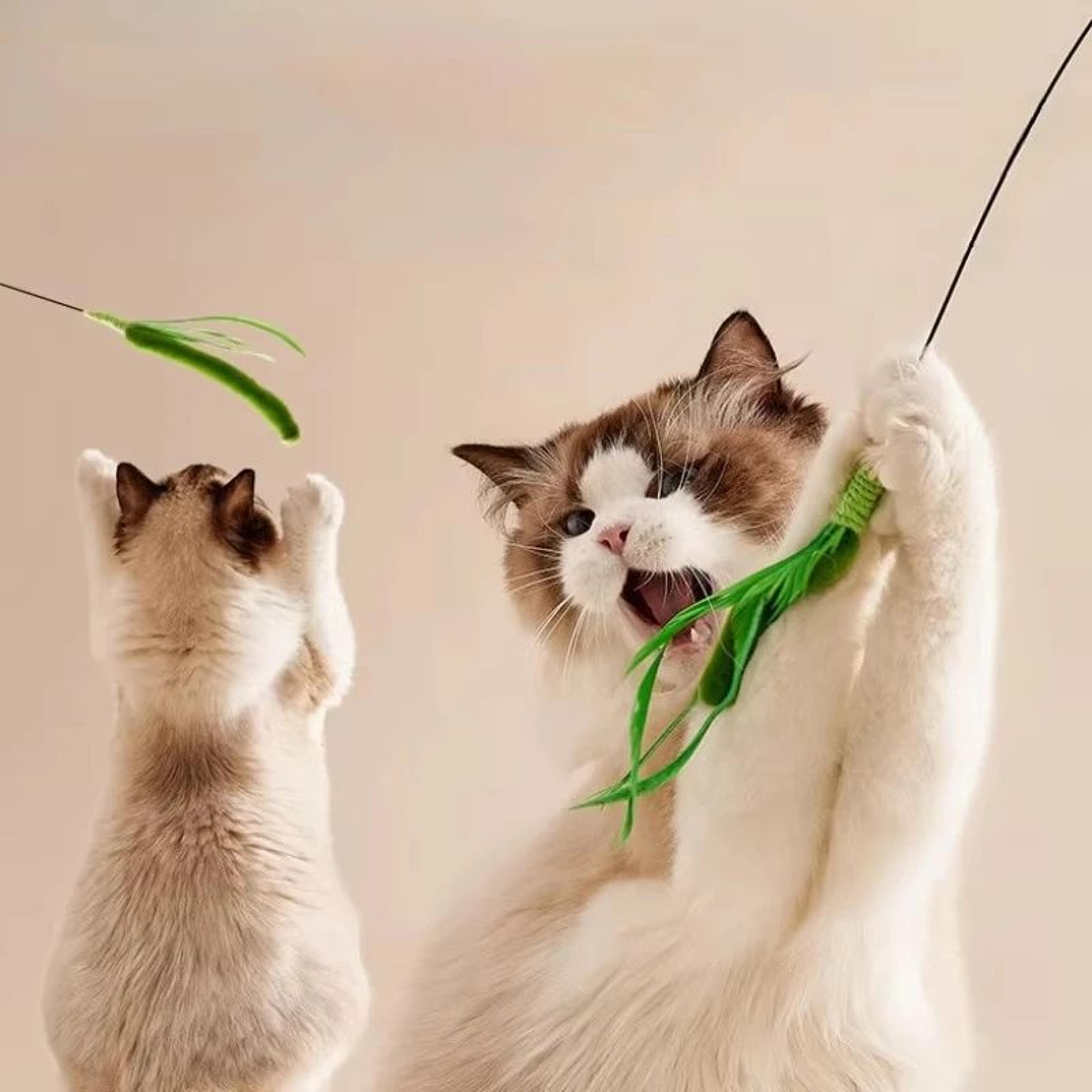 Interactive Feather Wand Cat Teaser Toy 4