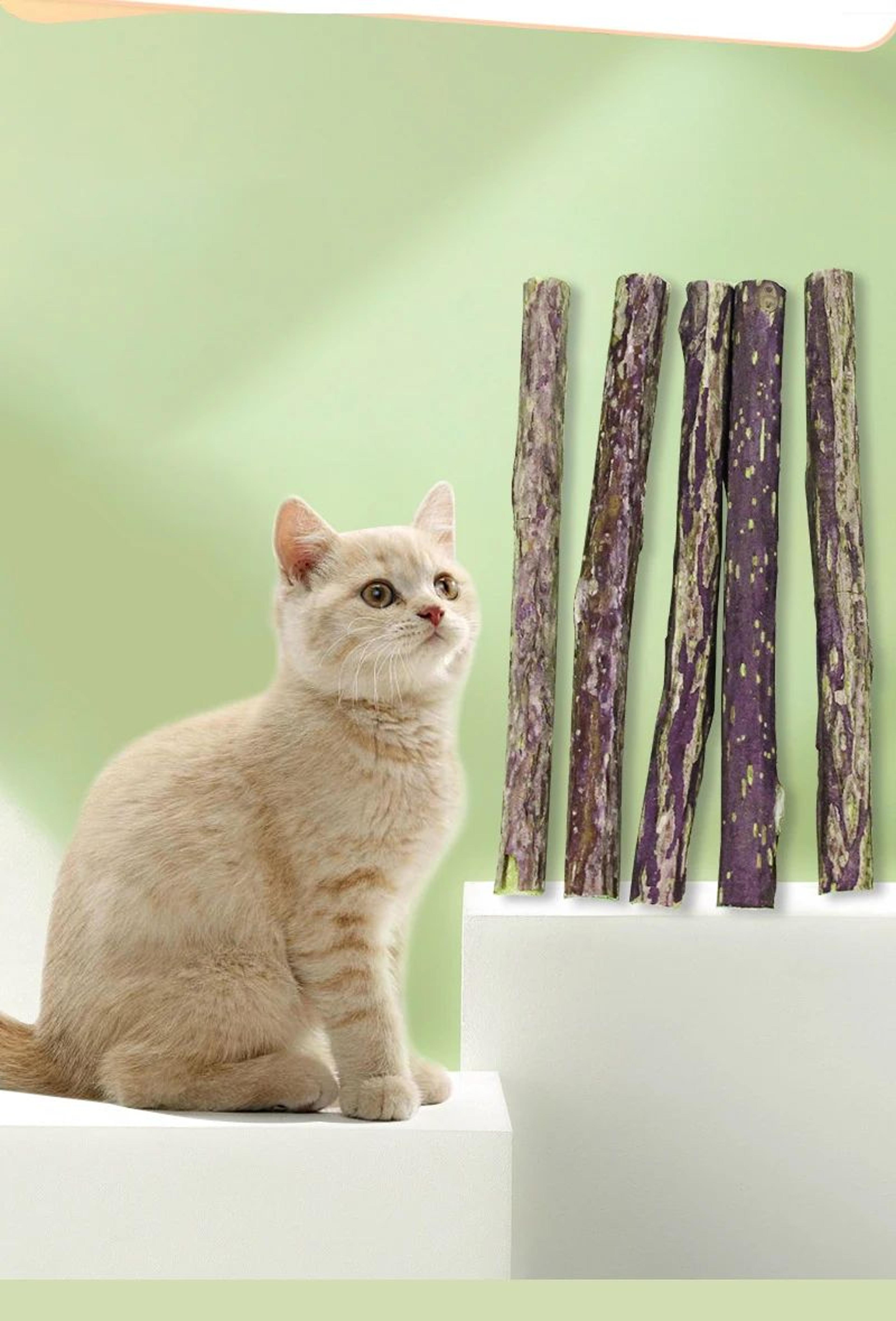Natural Polygonum Dental Chew Stick For Cats 3