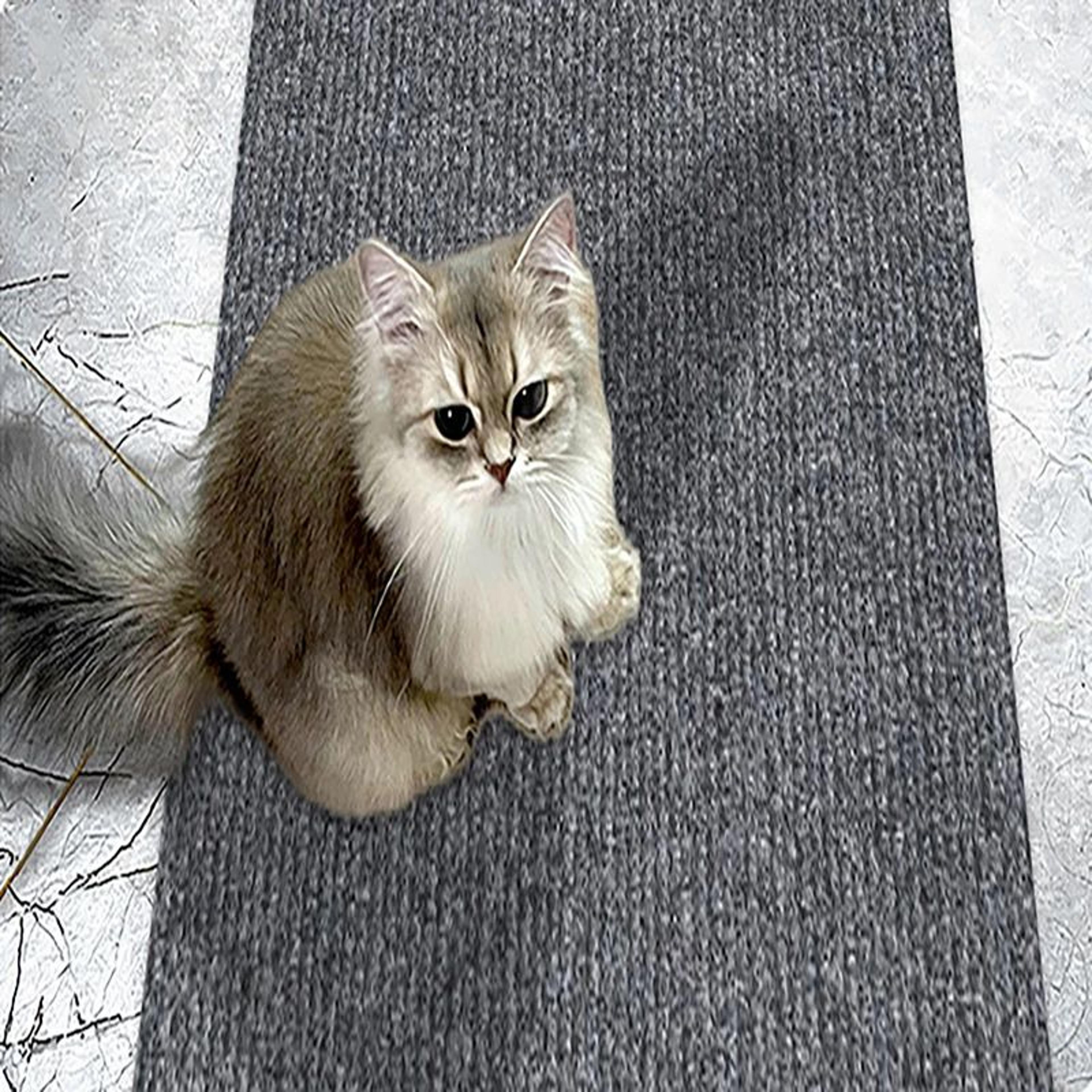 Self Adhesive Cat Scratching Wall Protector Mat 3
