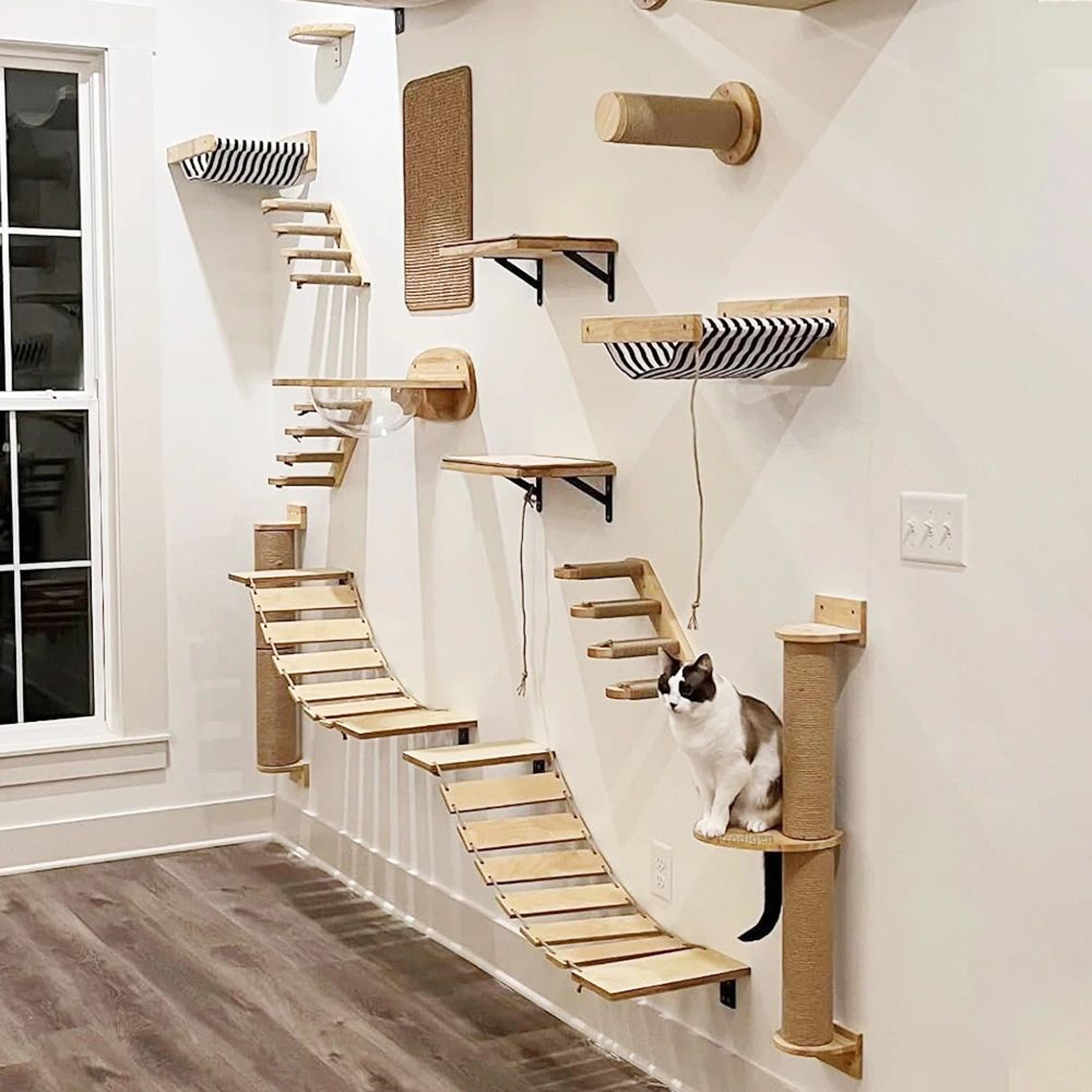Modern Cat Wall Climbing Shelf And Activity Set 4