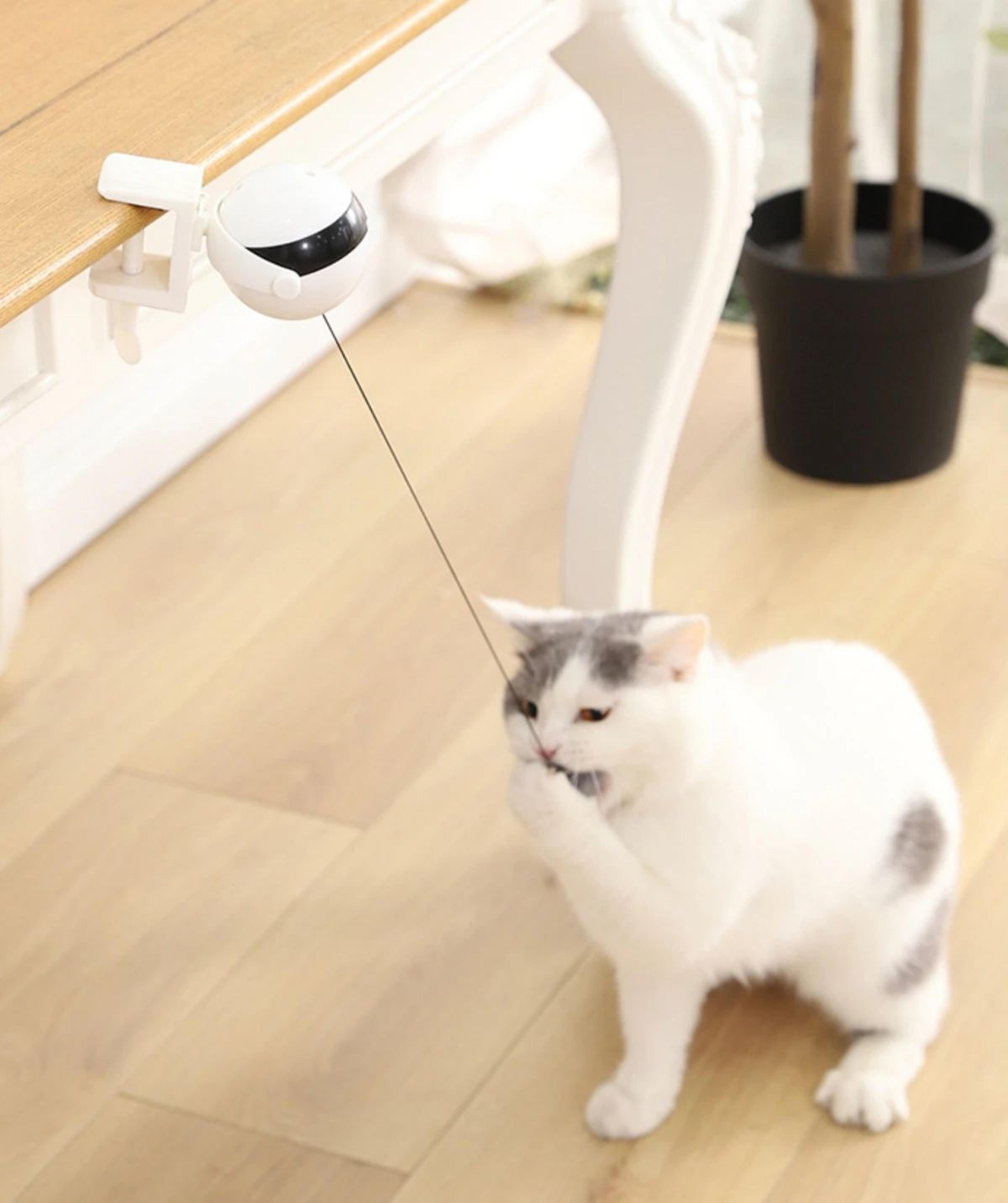Automatic Retractable Lifting Ball Cat Toy 6