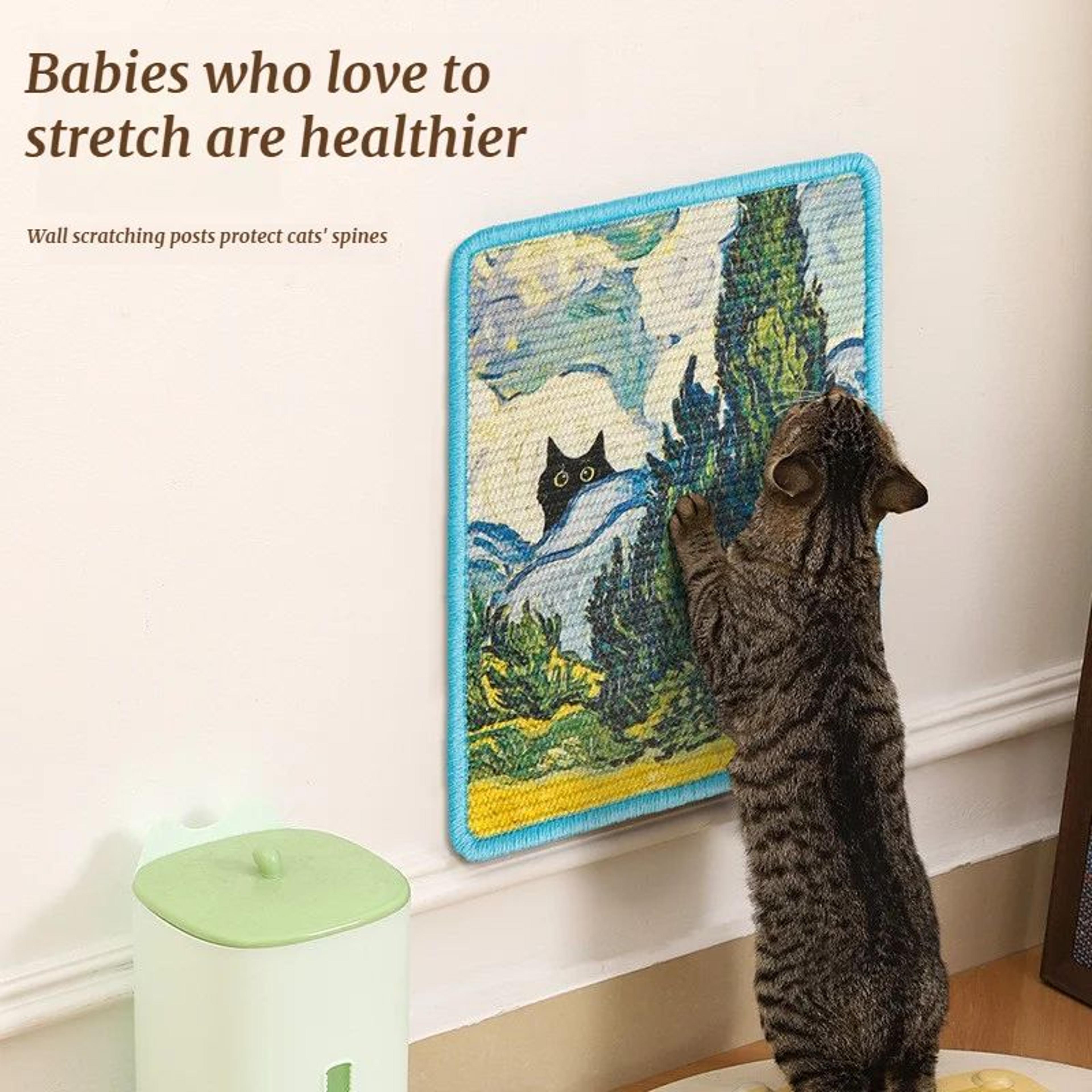 Wall Mounted Sisal Cat Scratch Mat 3