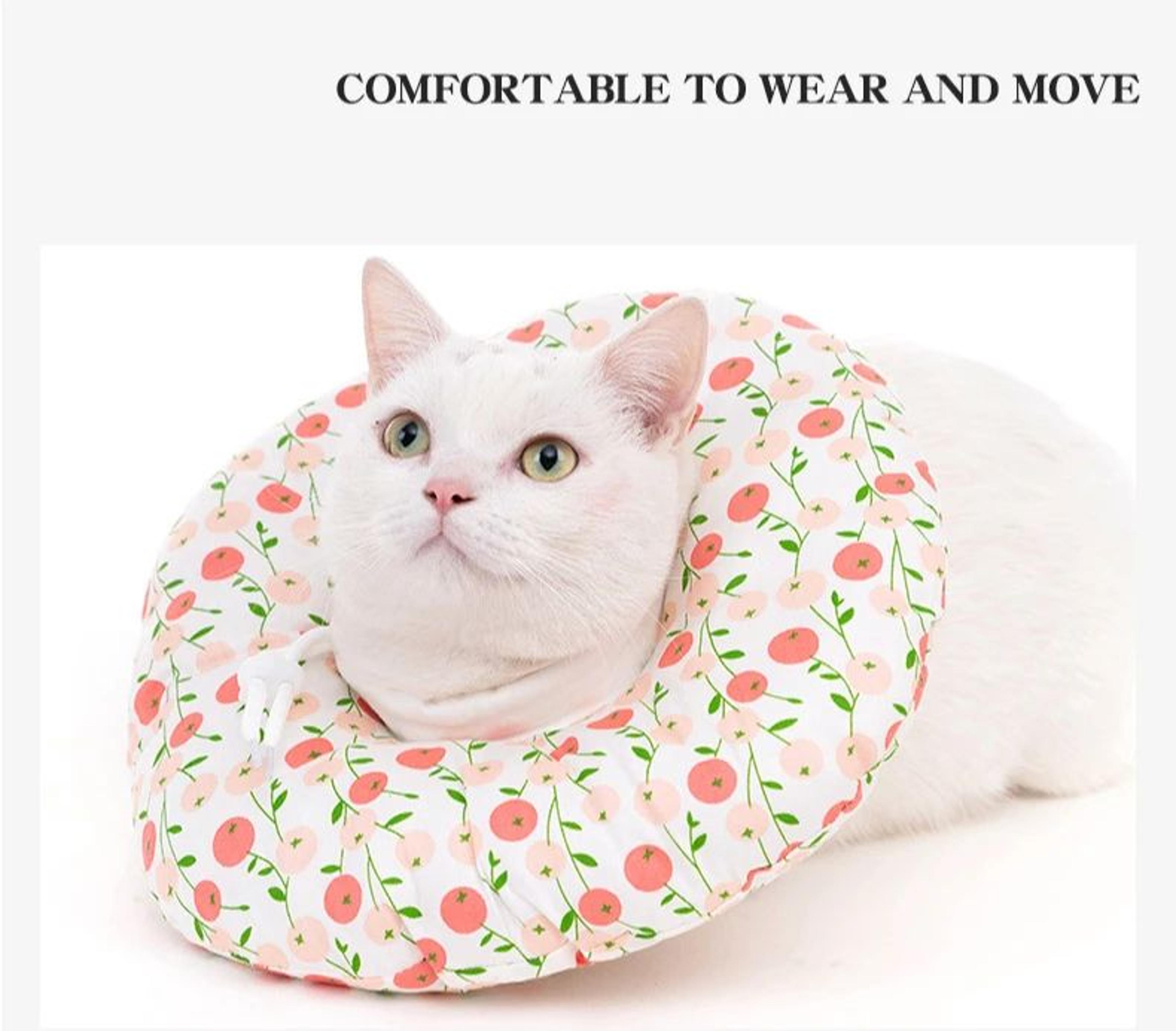 Soft Donut Recovery Collar For Cats And Small Dogs 4