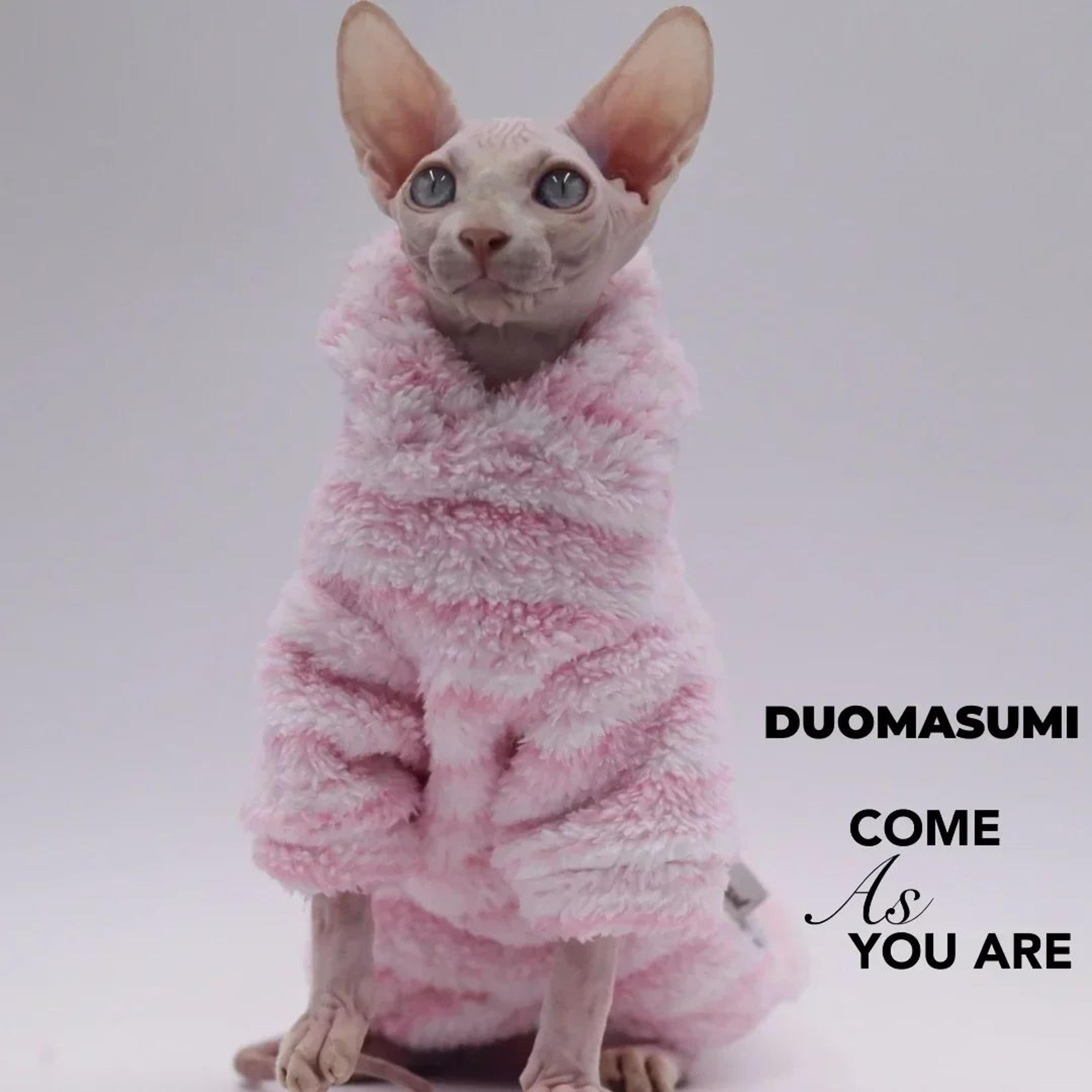 Fluffy Double Sided Winter Jacket For Sphynx Cats 1