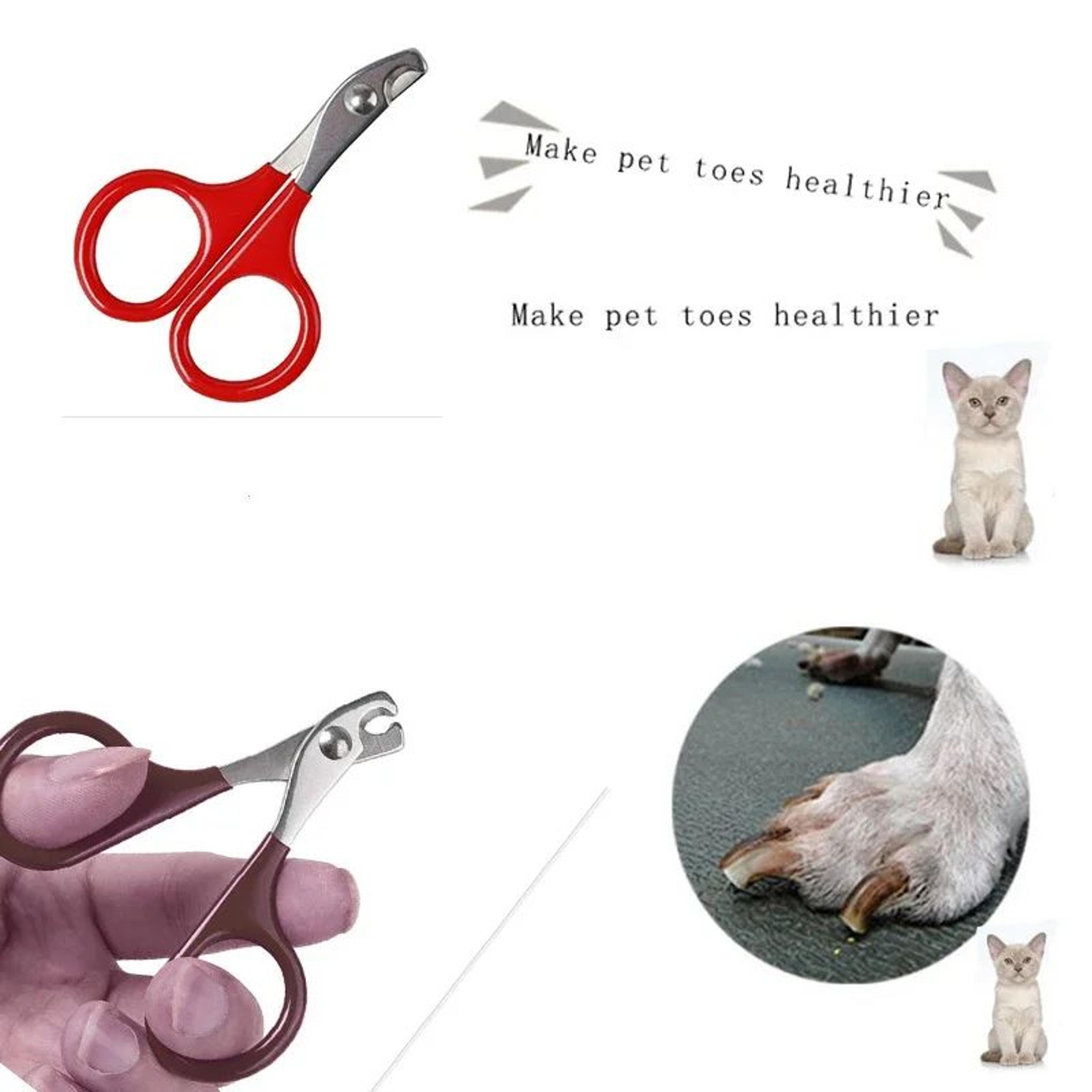 Professional Pet Nail Clippers For Cats And Small Dogs 6