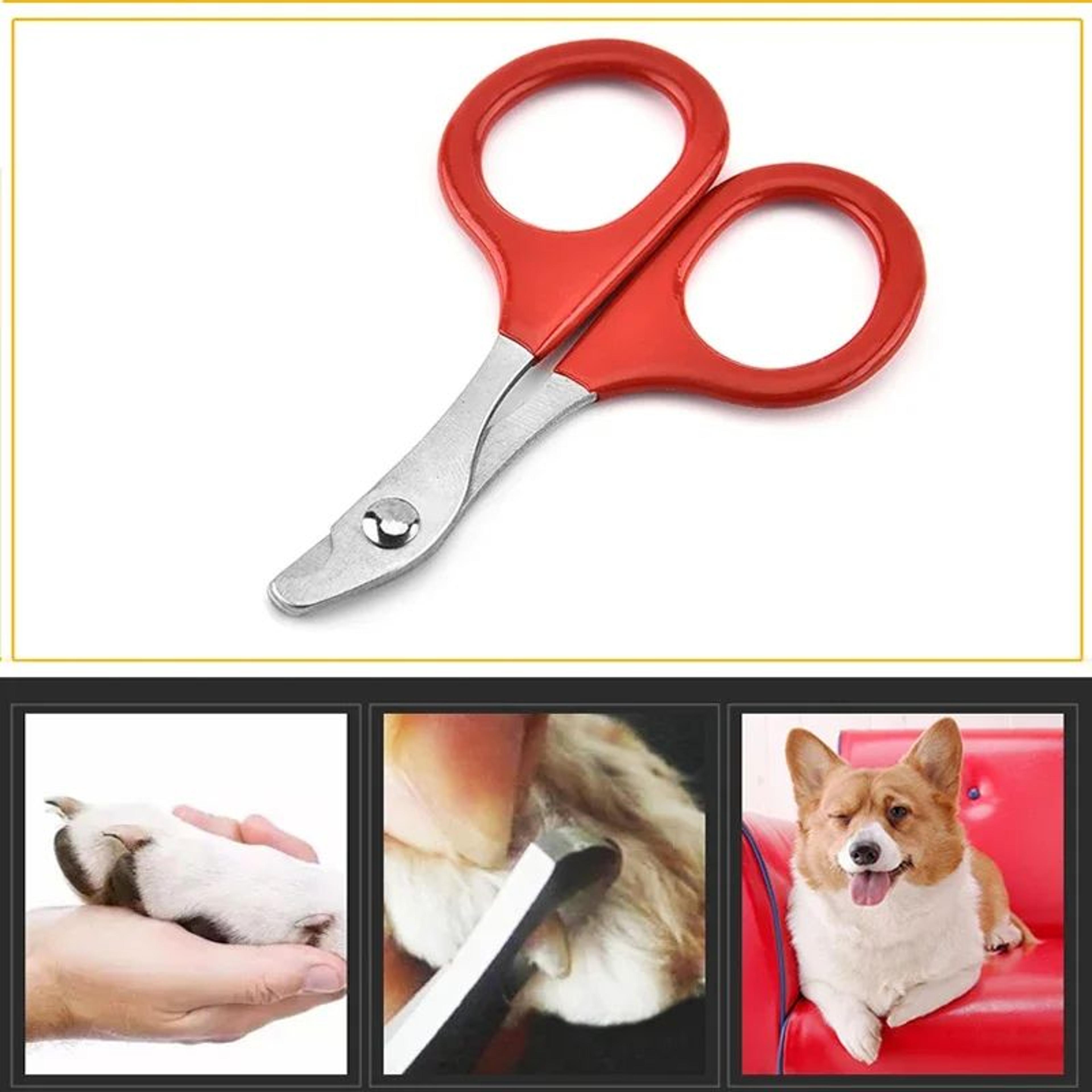 Professional Pet Nail Clippers For Cats And Small Dogs 7