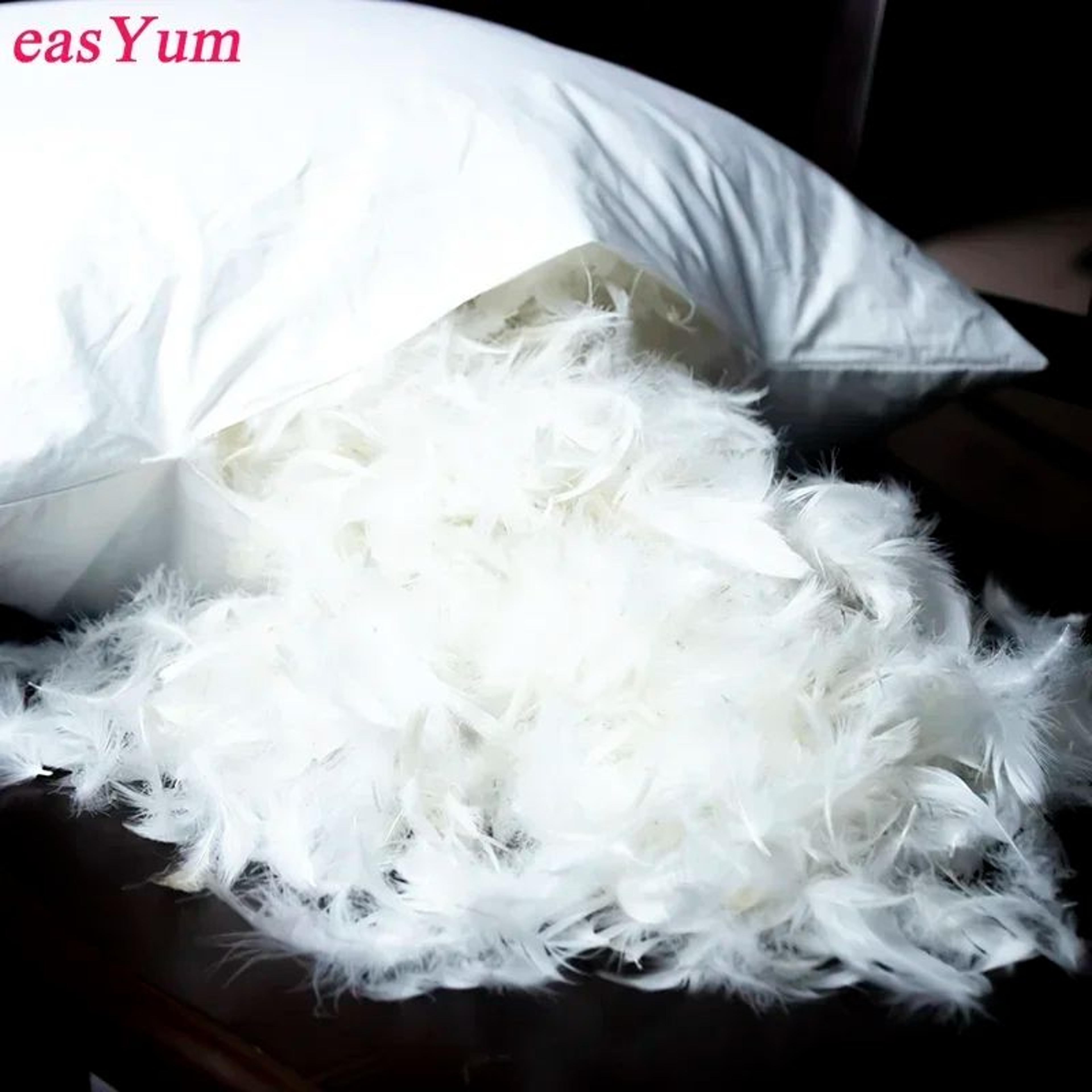 Cotton Goose Down Feather Cushion Insert For Sofa And Bed 2