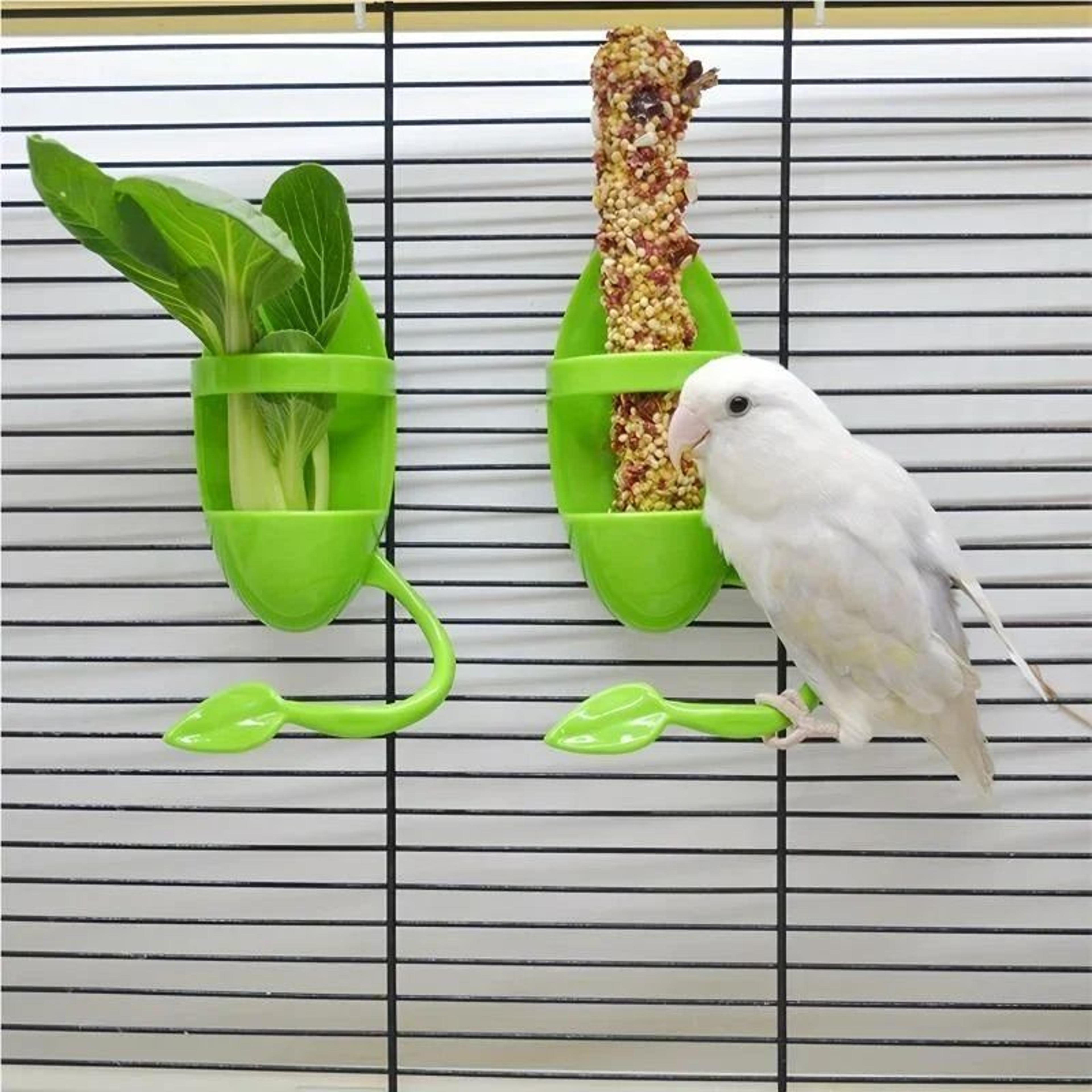bird cuttlebone and fruit feeding holder for cage