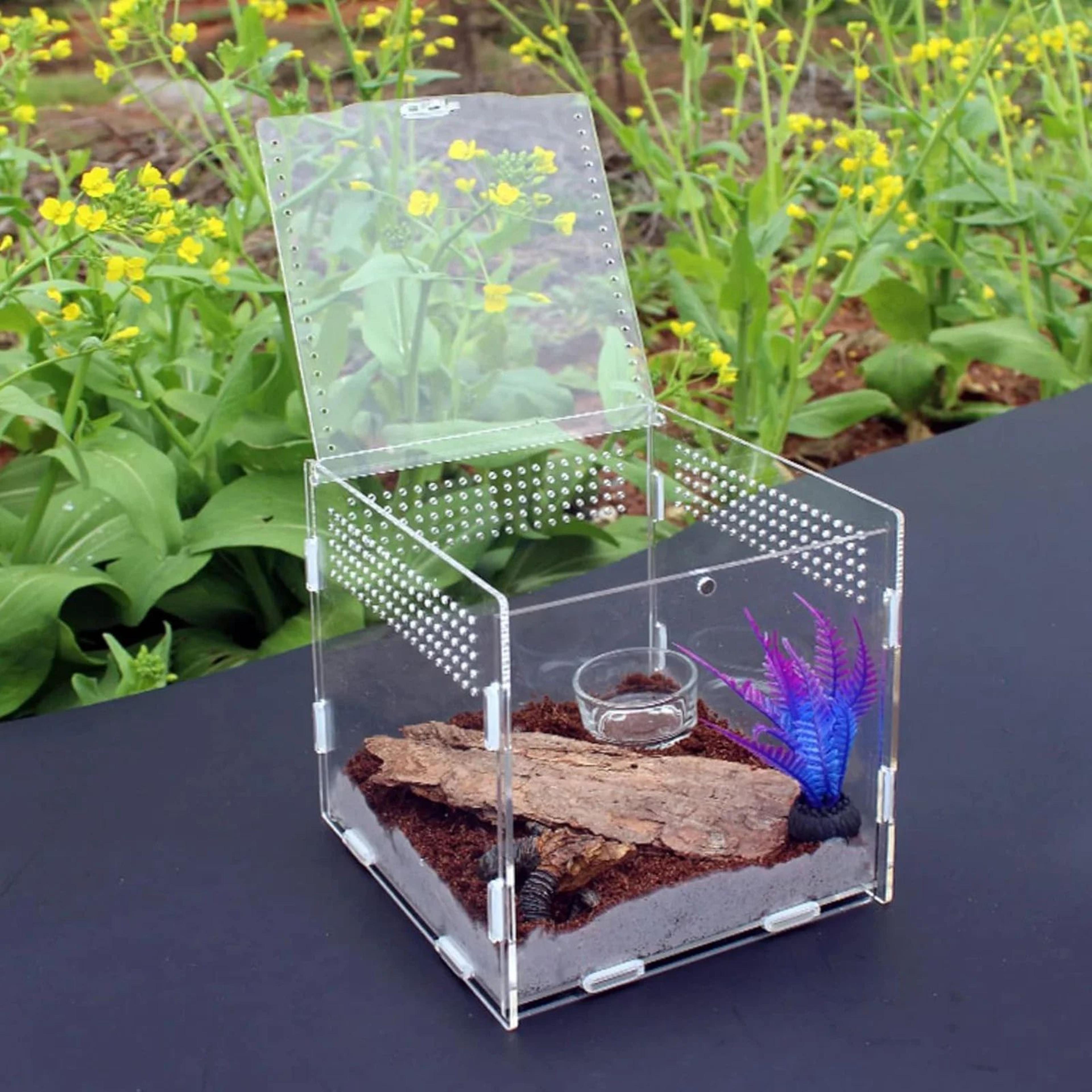 clear acrylic stackable reptile feeding and habitat box