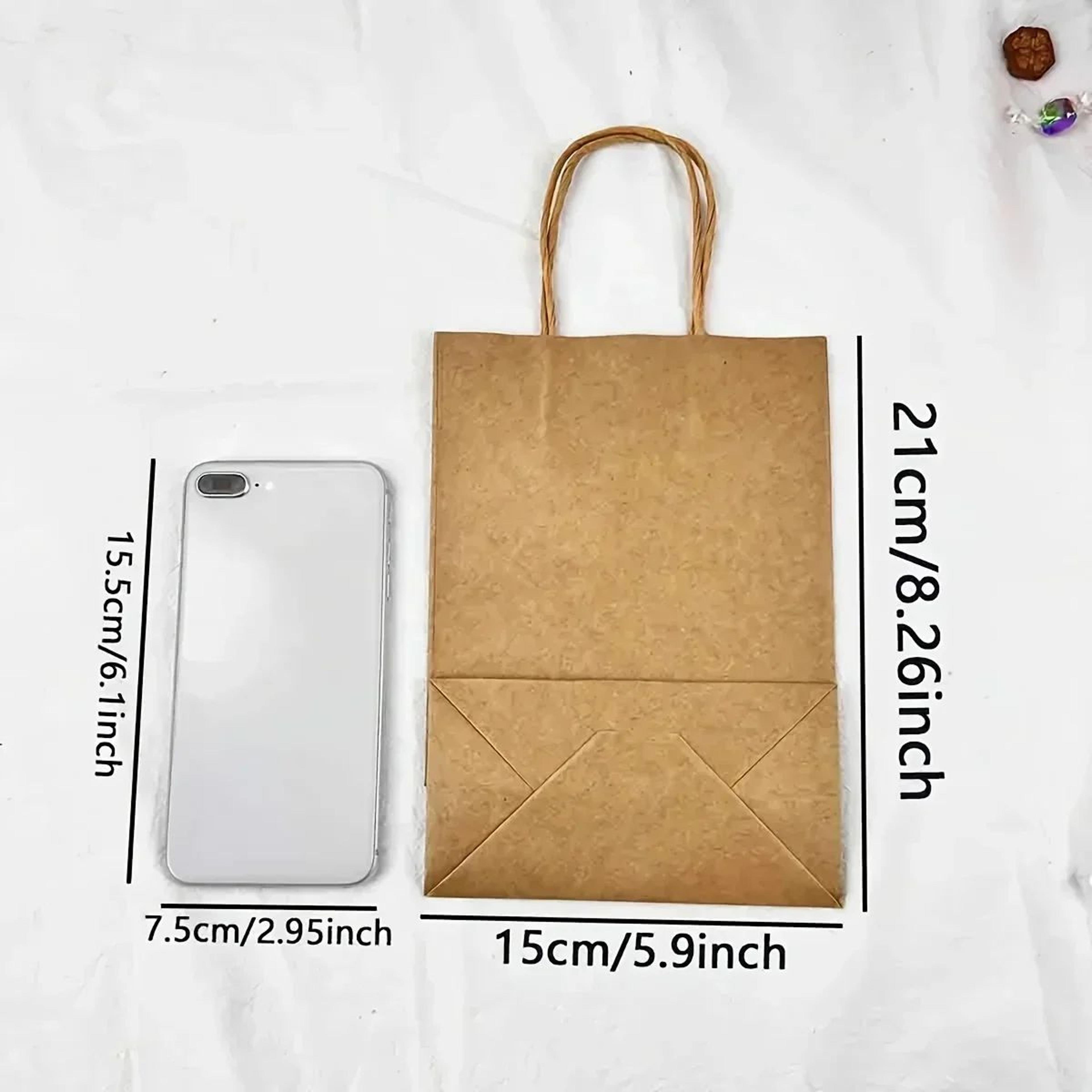 Kraft Paper Party Favor Bags For Birthday Gifts Candy And Shopping 12