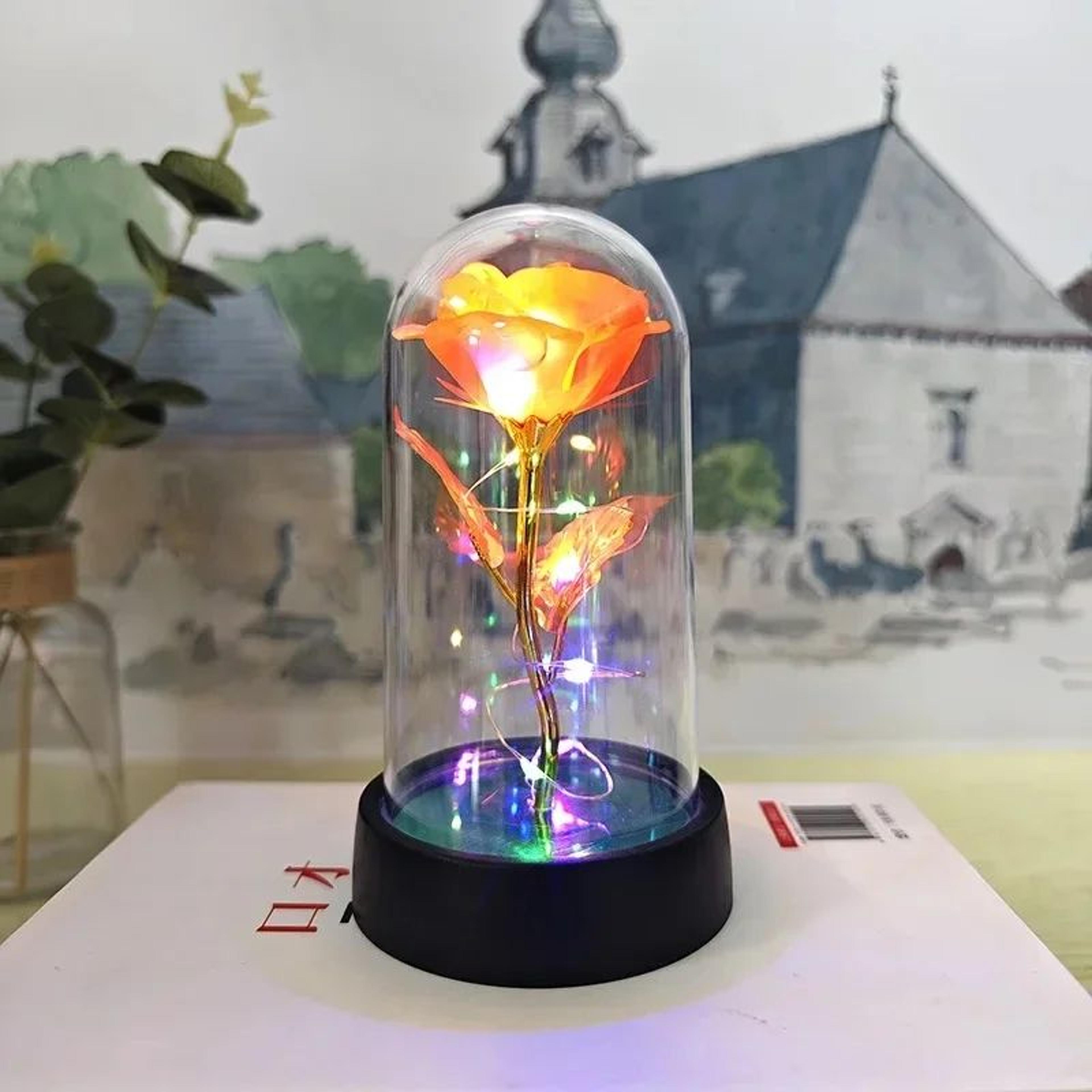 Eternal Rose In Glass Dome With LED Lights  Romantic Eternal Rose Gift Night Light For Her 19