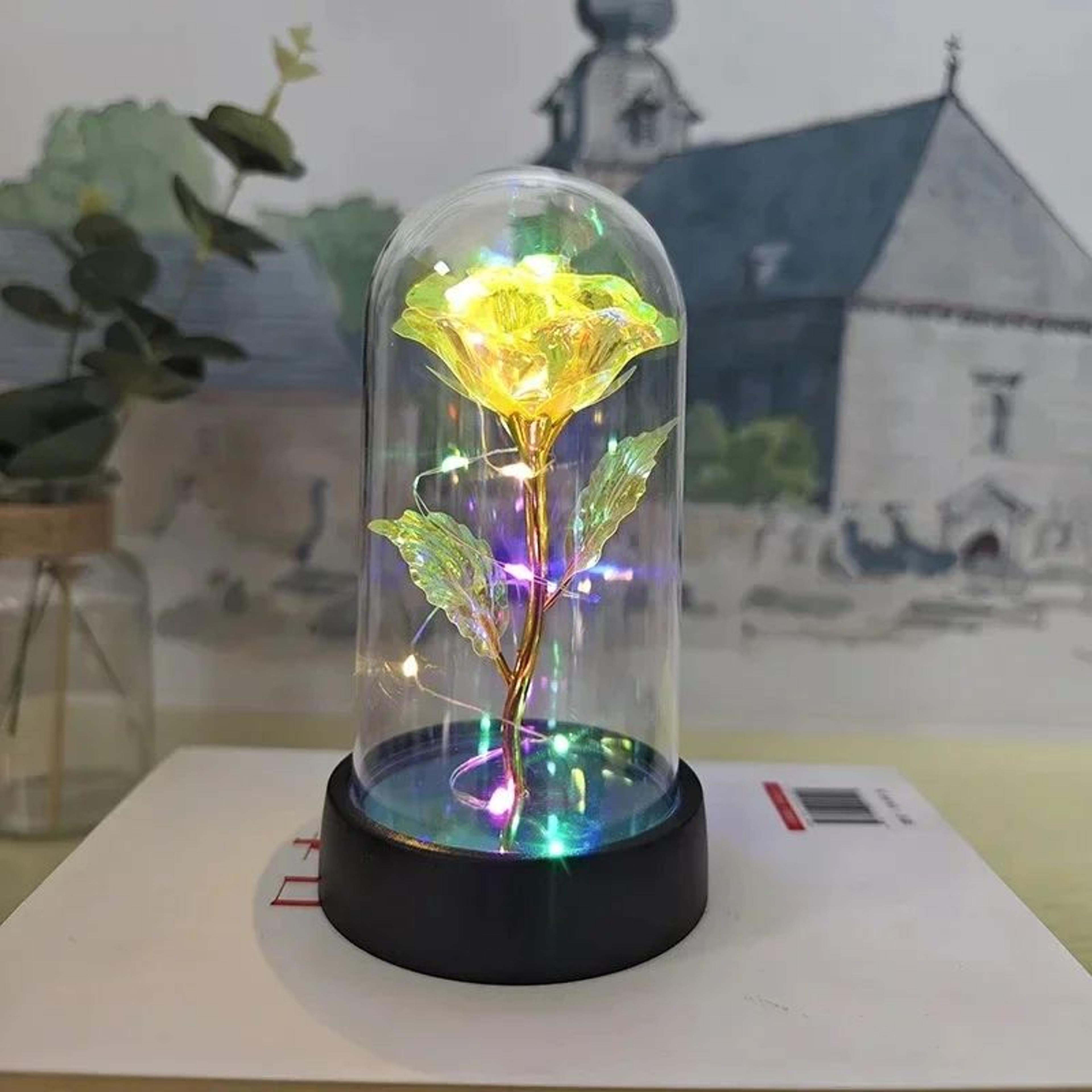 Eternal Rose In Glass Dome With LED Lights  Romantic Eternal Rose Gift Night Light For Her 6