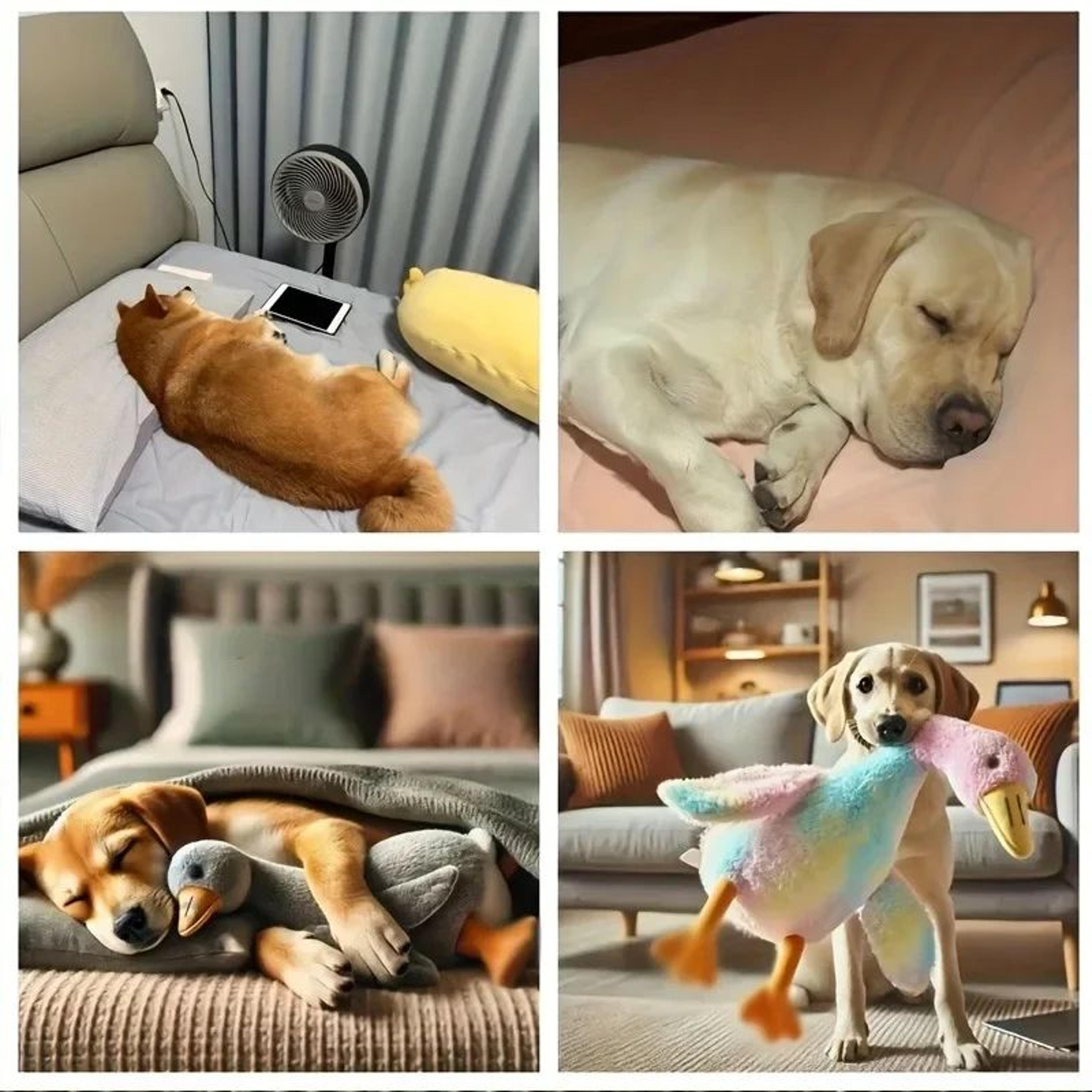 Calming Duck Plush Pet Toy 20 In  Soft Duck Plush Dog Toy For Anxiety Relief  Cuddles 3