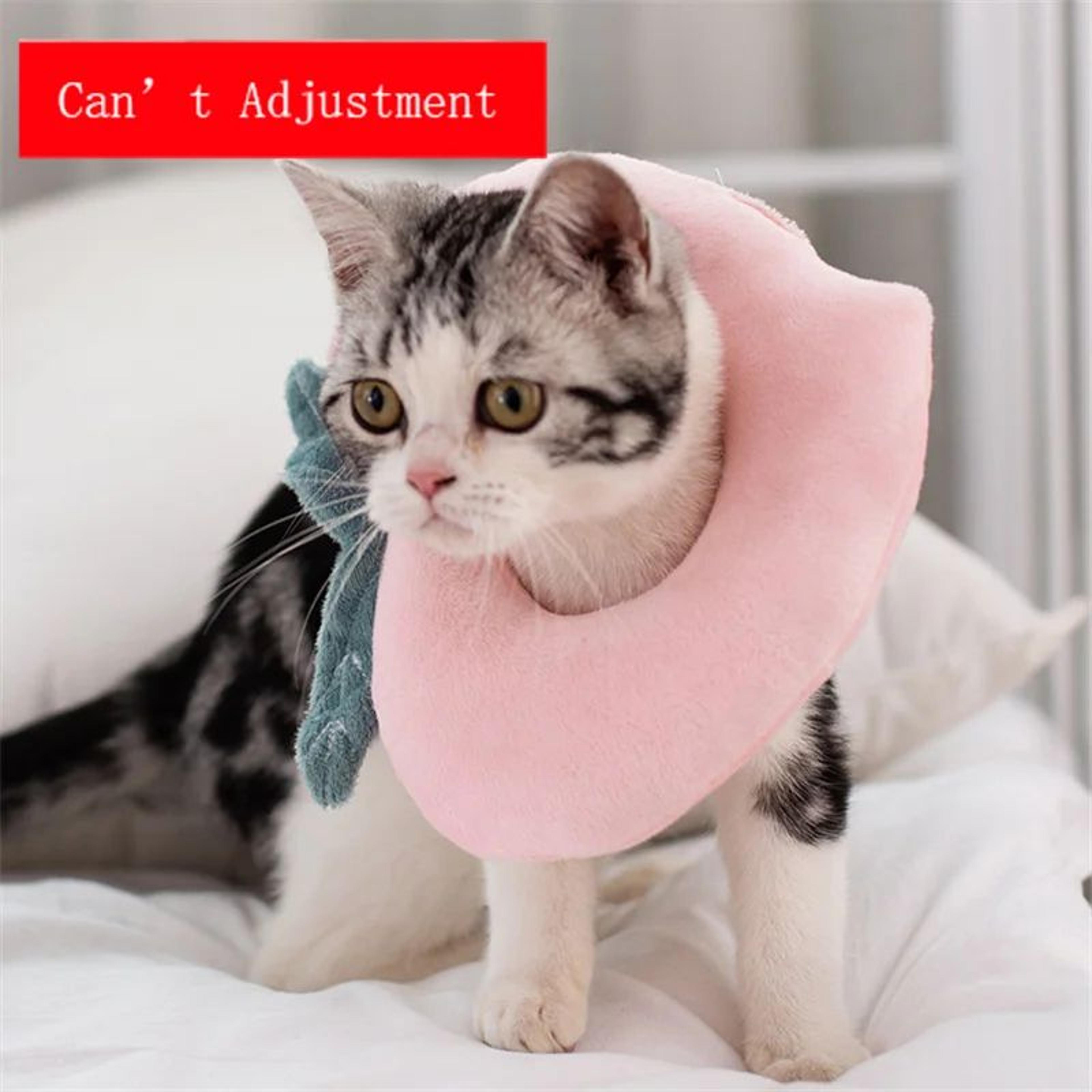 Avocado Soft Pet Recovery Collar For Dogs And Cats 10