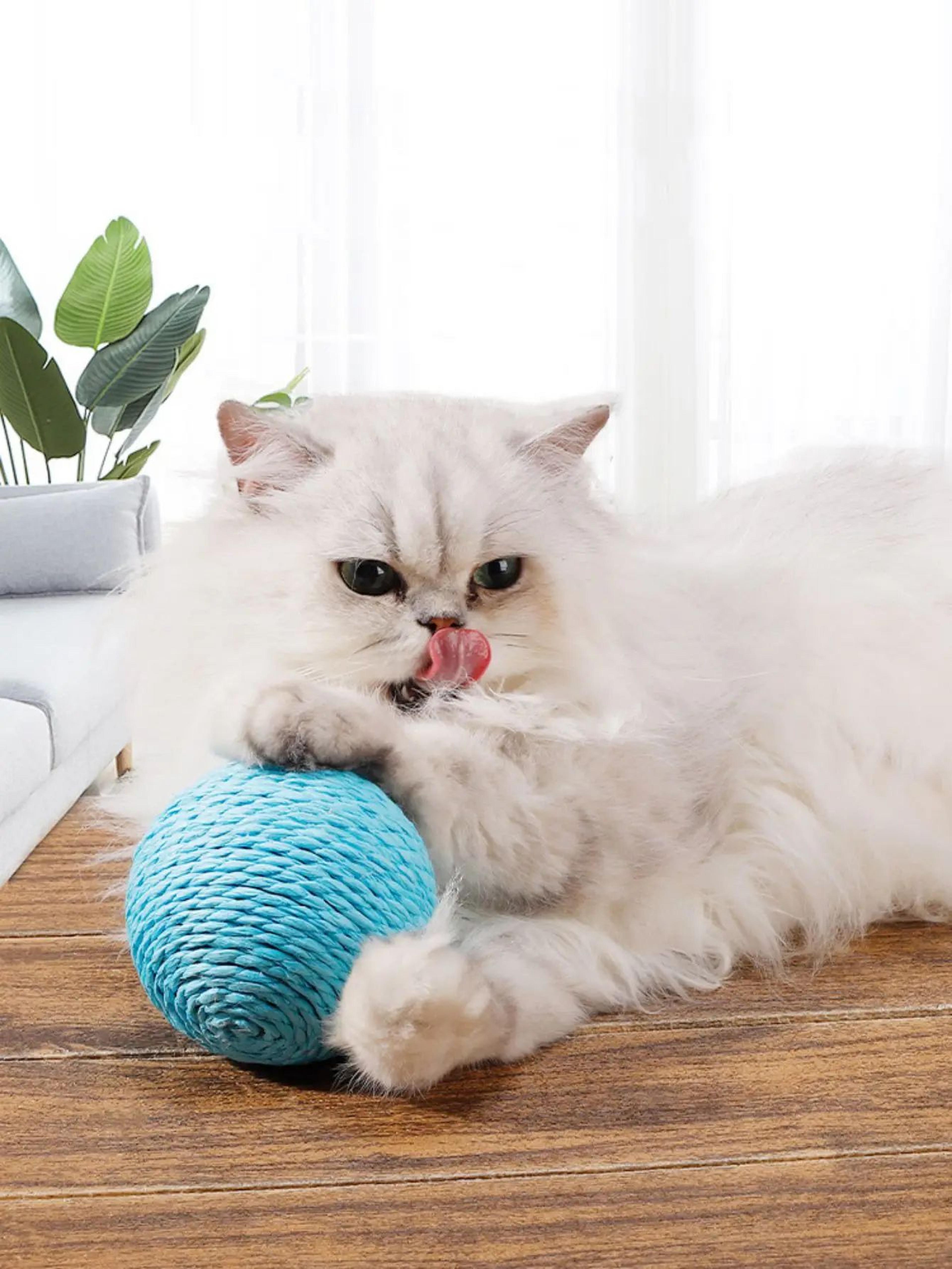 Interactive Sisal Cat Scratching Ball For Teeth Cleaning  Play 5