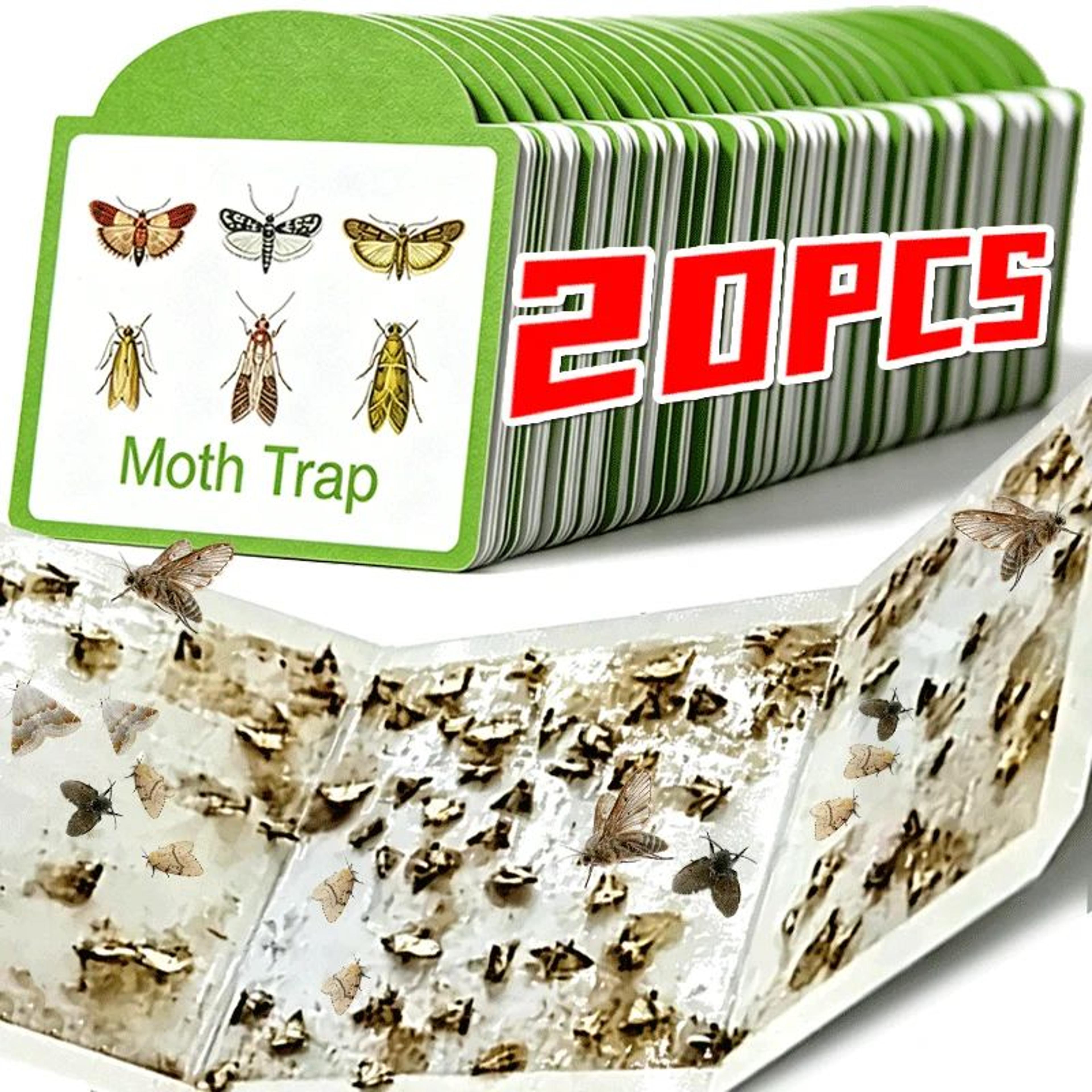 safeguard non-toxic pantry & clothes moth traps
