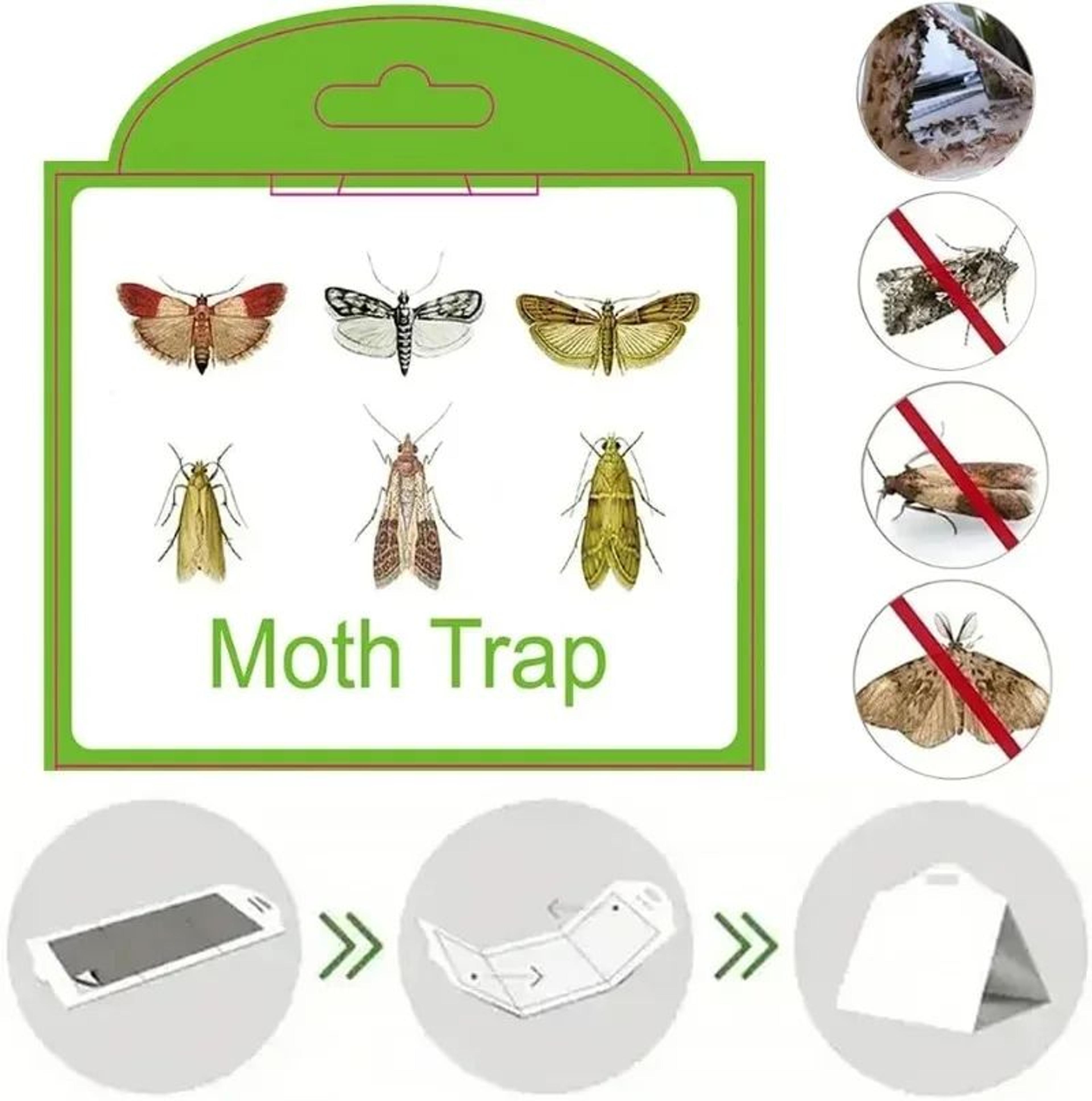 SafeGuard NonToxic Pantry  Clothes Moth Traps 2
