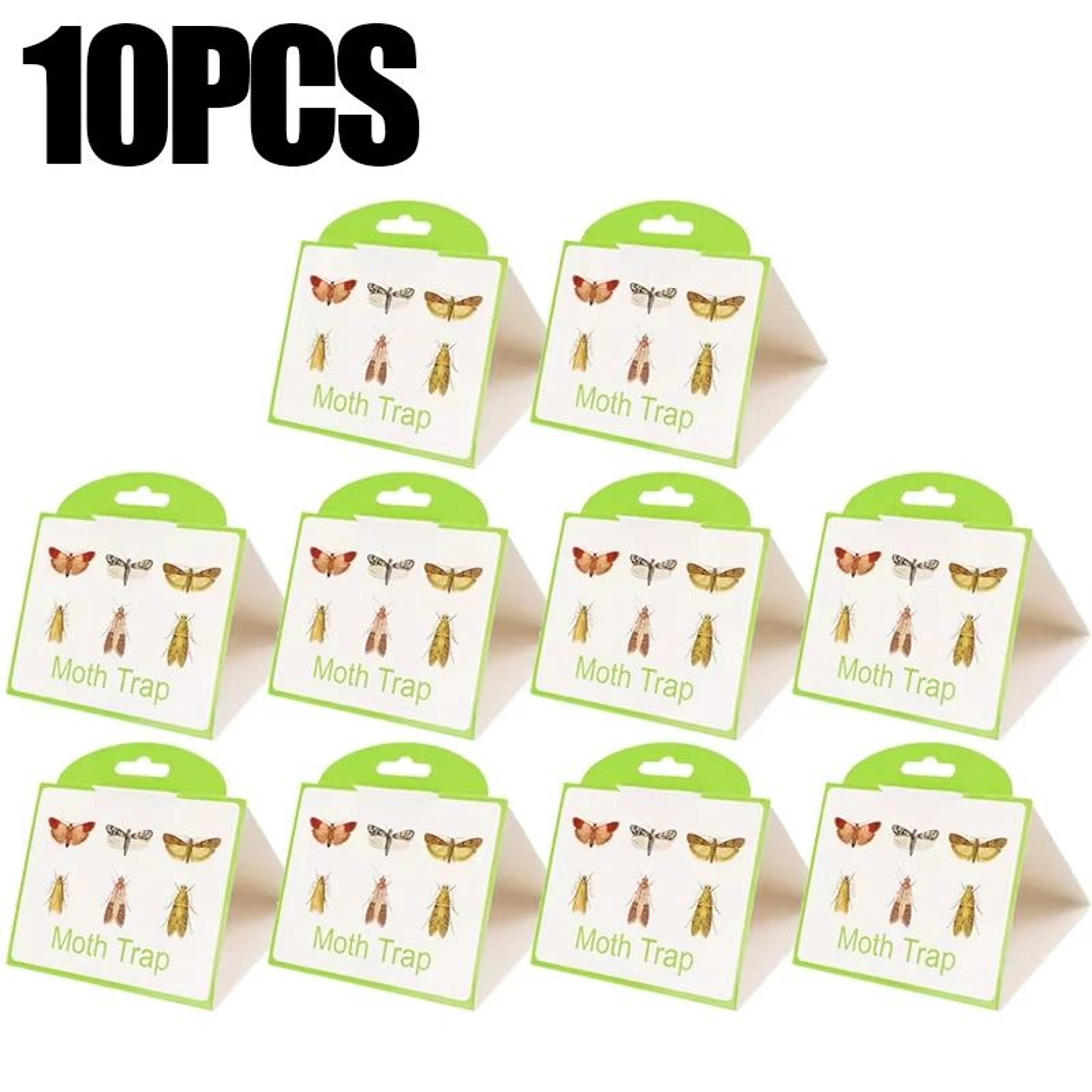 SafeGuard NonToxic Pantry  Clothes Moth Traps 6