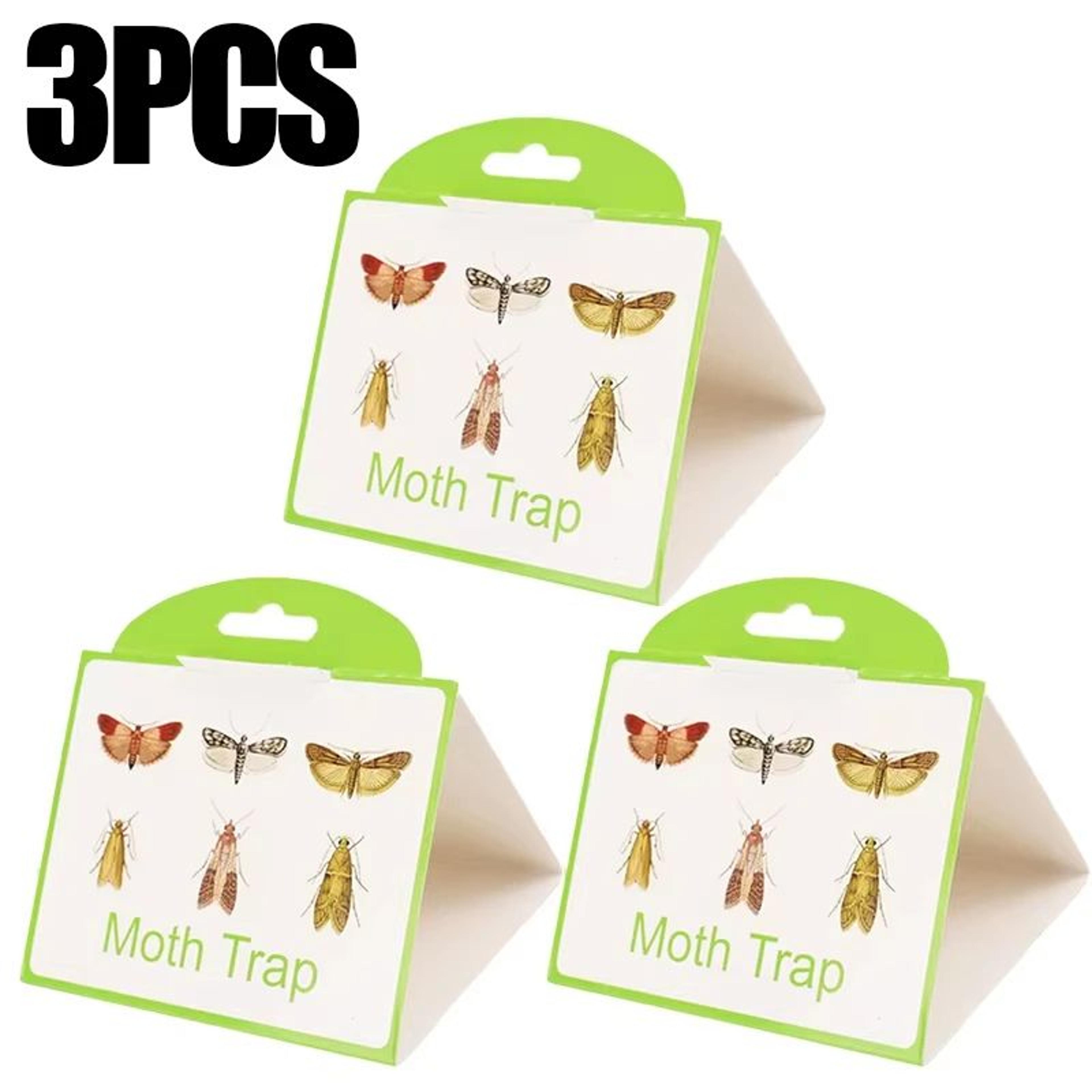 SafeGuard NonToxic Pantry  Clothes Moth Traps 9