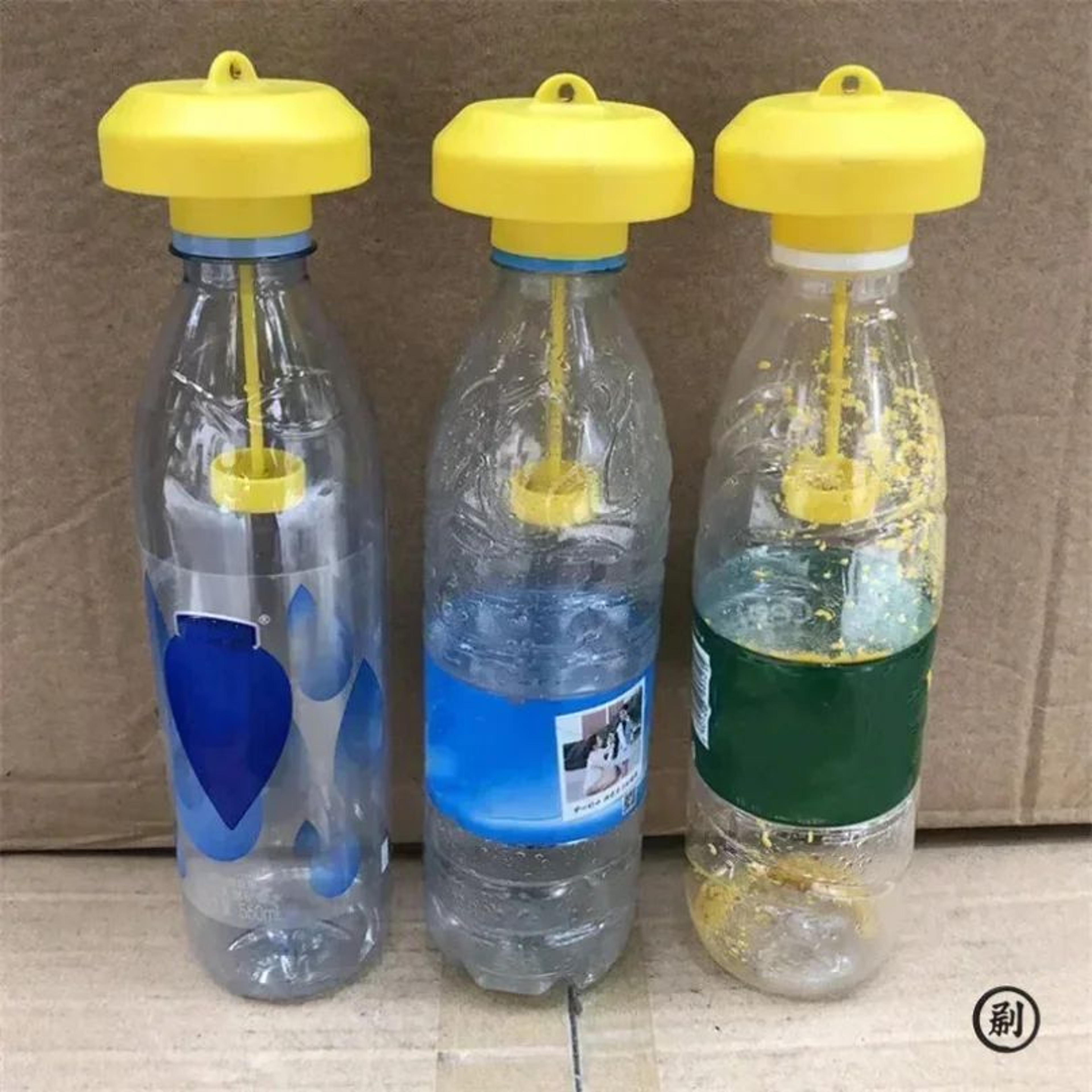 freshguard reusable fruit fly trap 2-pack for home and garden