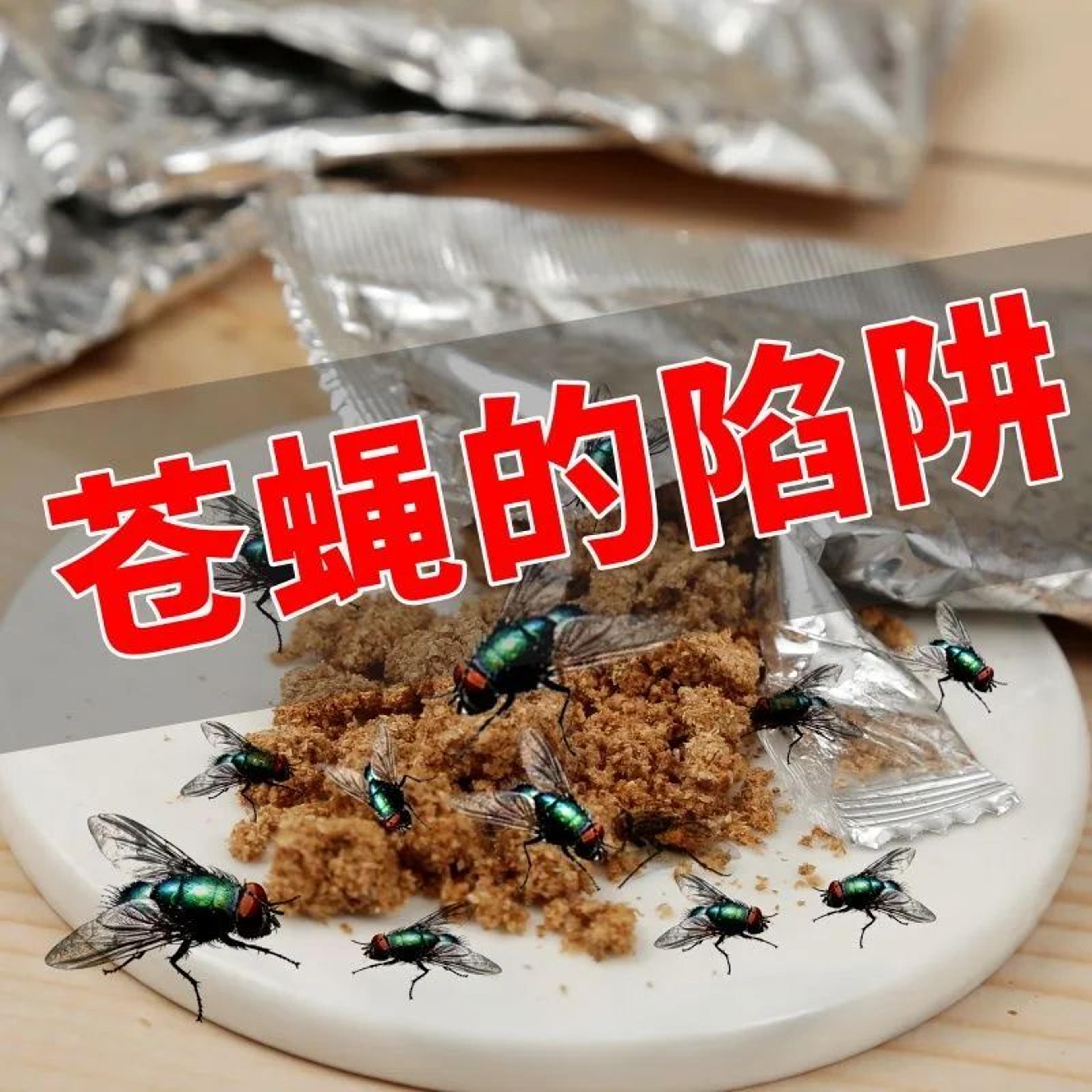 ecoguard non-toxic fly bait natural fly attractant sachets