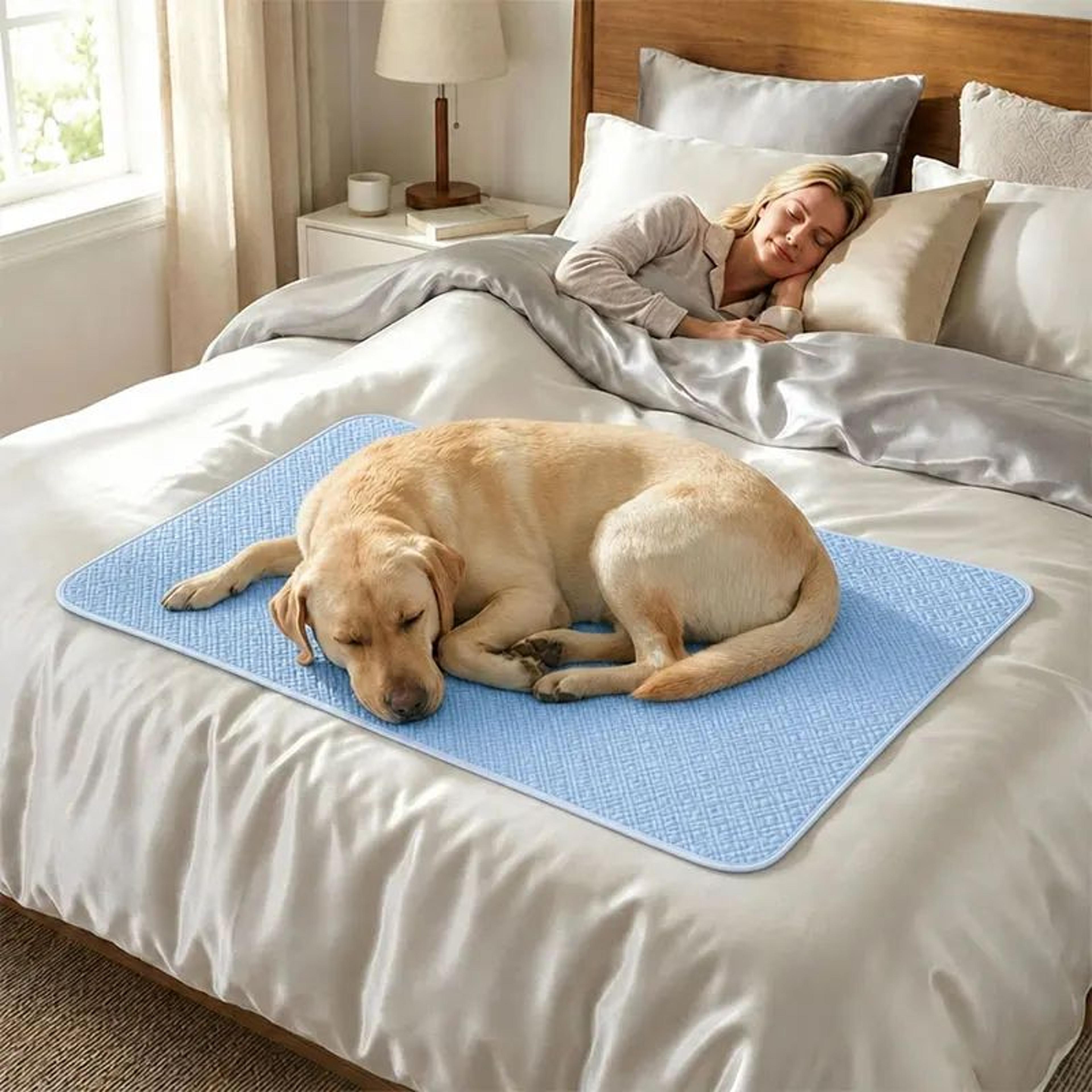 Ice Silk Dog Cooling Mat Washable Pet Cooling Pad For Dogs And Cats 4