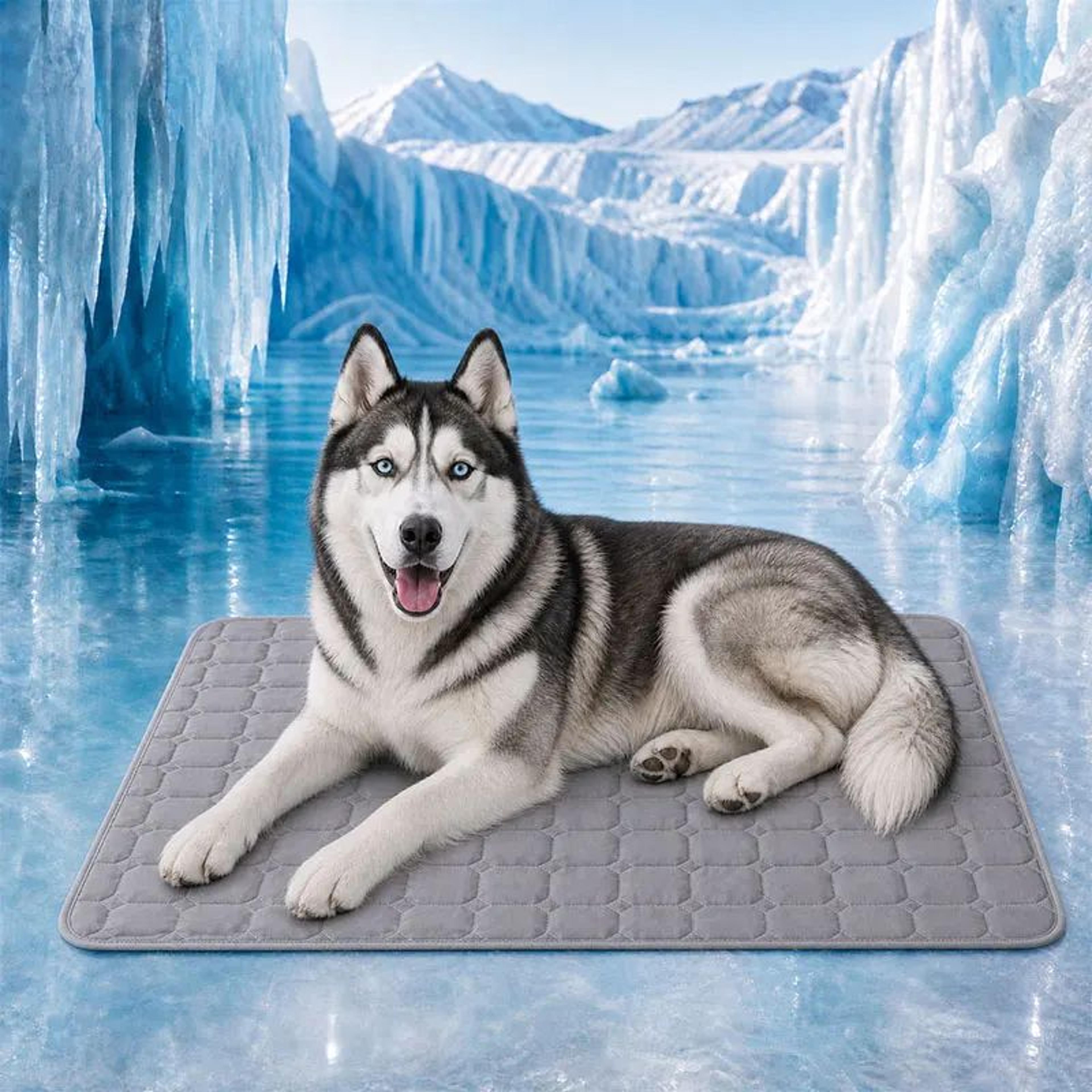 Cooling Dog Mat Summer Pet Cooling Pad For Dogs And Cats 7