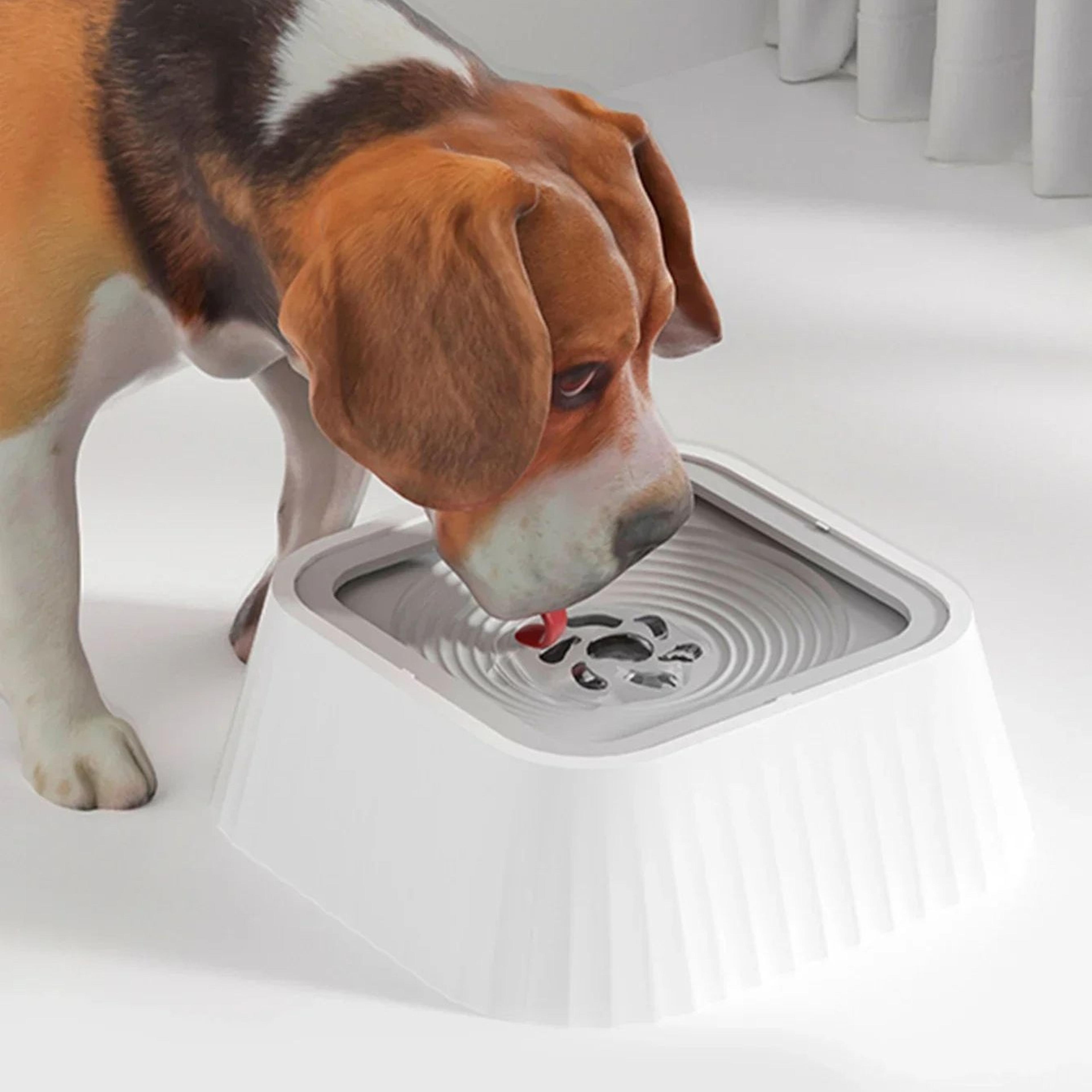 no-spill pet water bowl with floating plate and slow drinking design