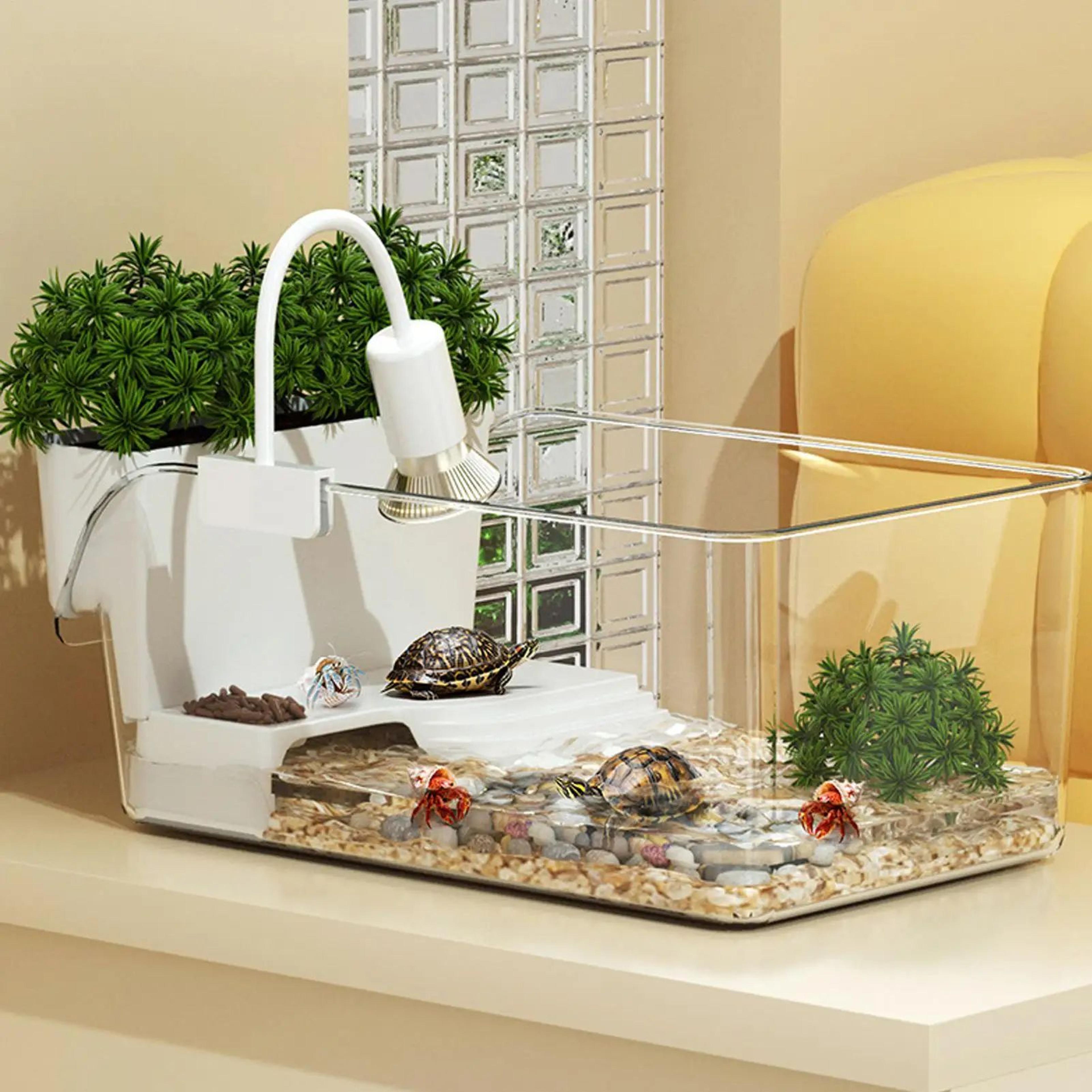 transparent aquatic turtle tank and small reptile habitat box