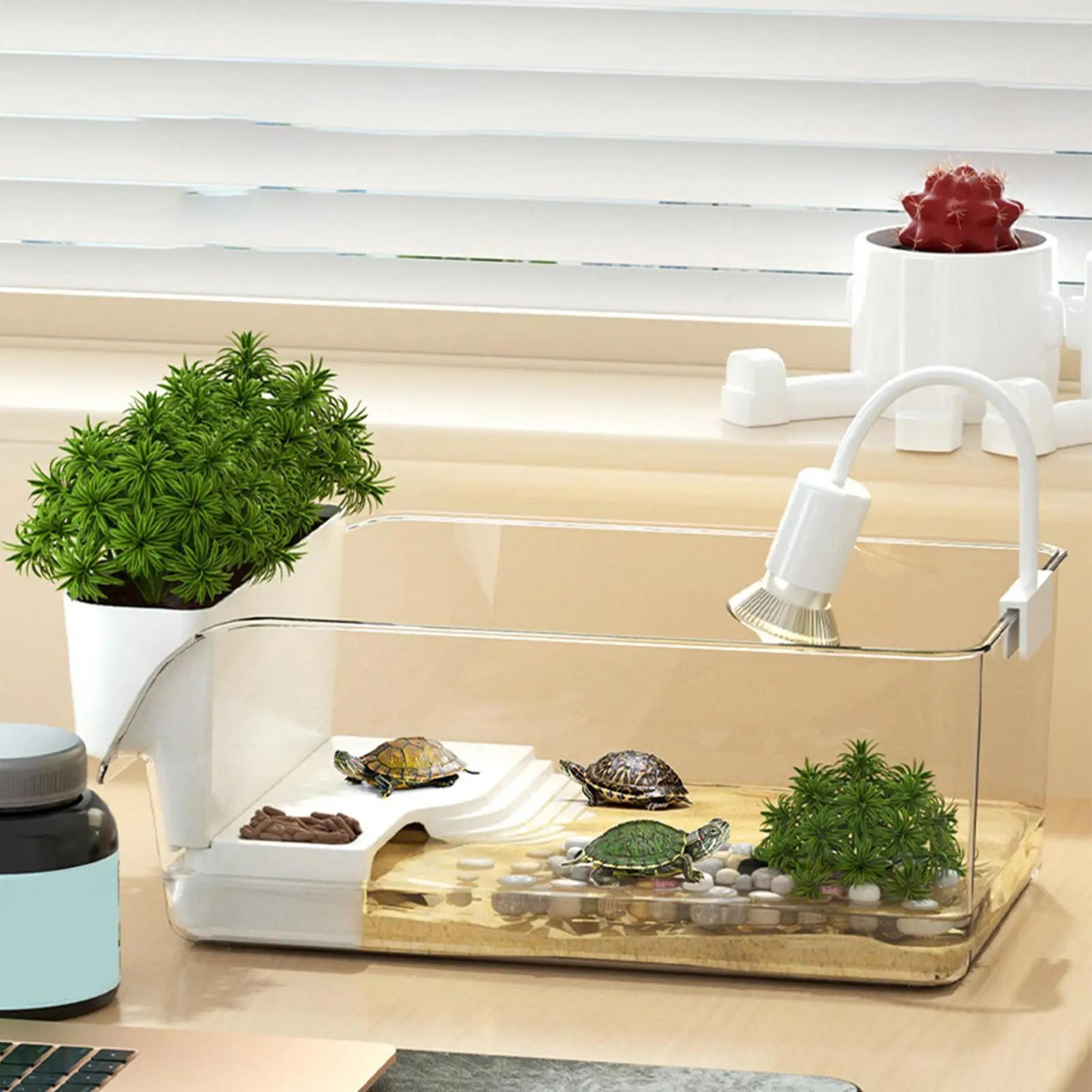 Transparent Aquatic Turtle Tank And Small Reptile Habitat Box 4