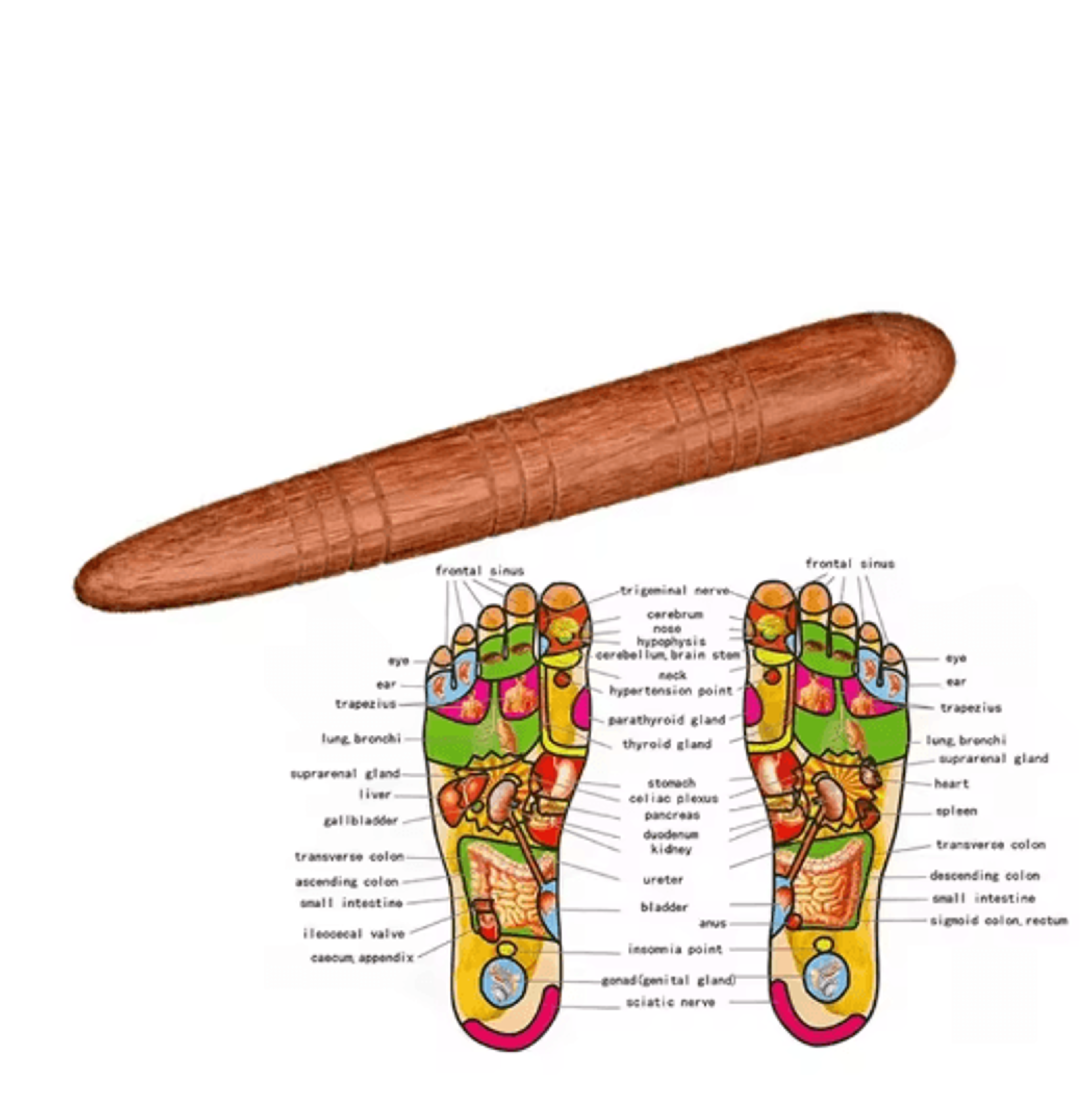 Natural Wooden Foot And Body Massage Stick For Reflexology And Muscle Relief 2