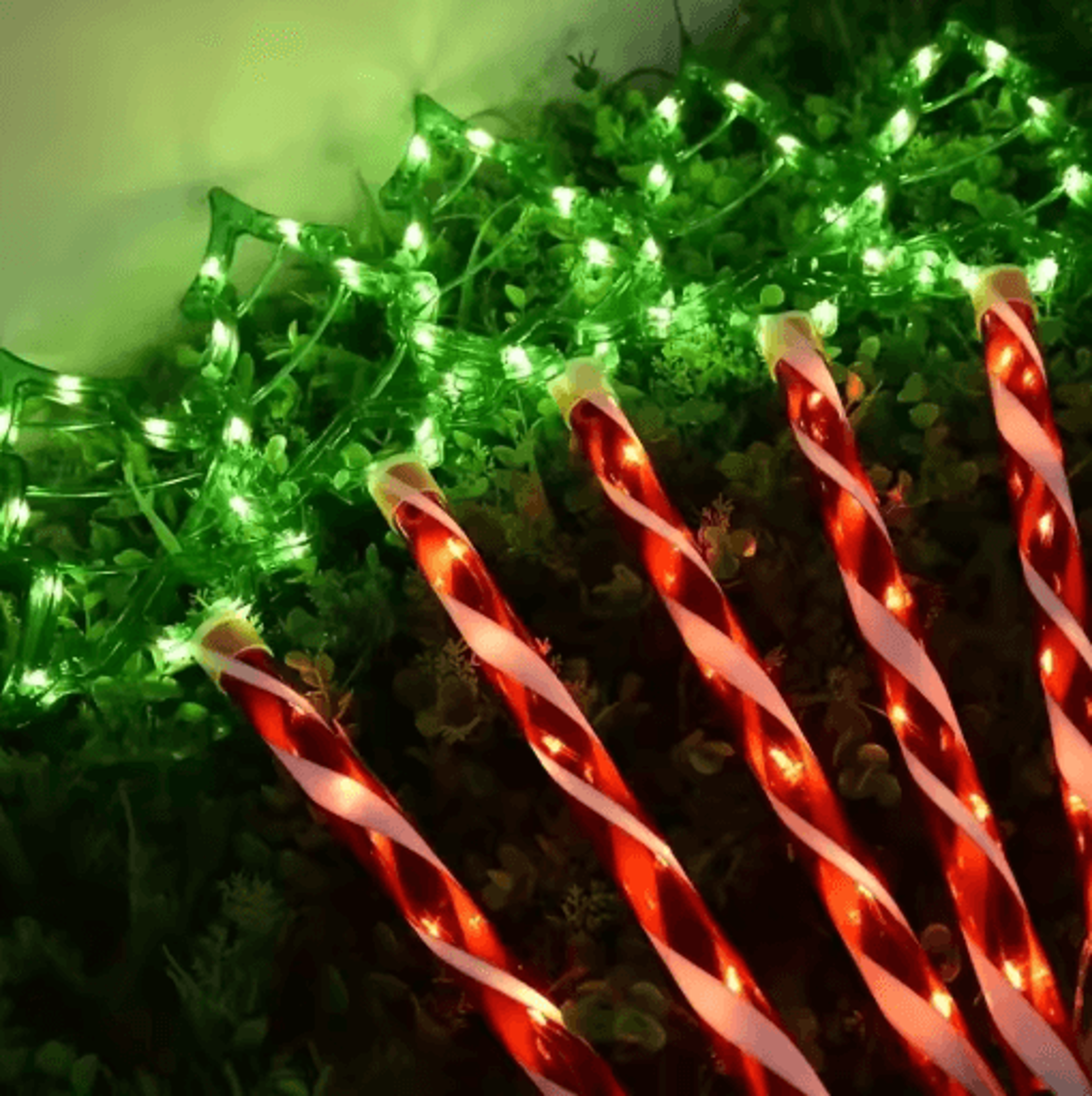 Solar Candy Christmas Tree Garden Lights 5PC Outdoor Stake Light Set 1