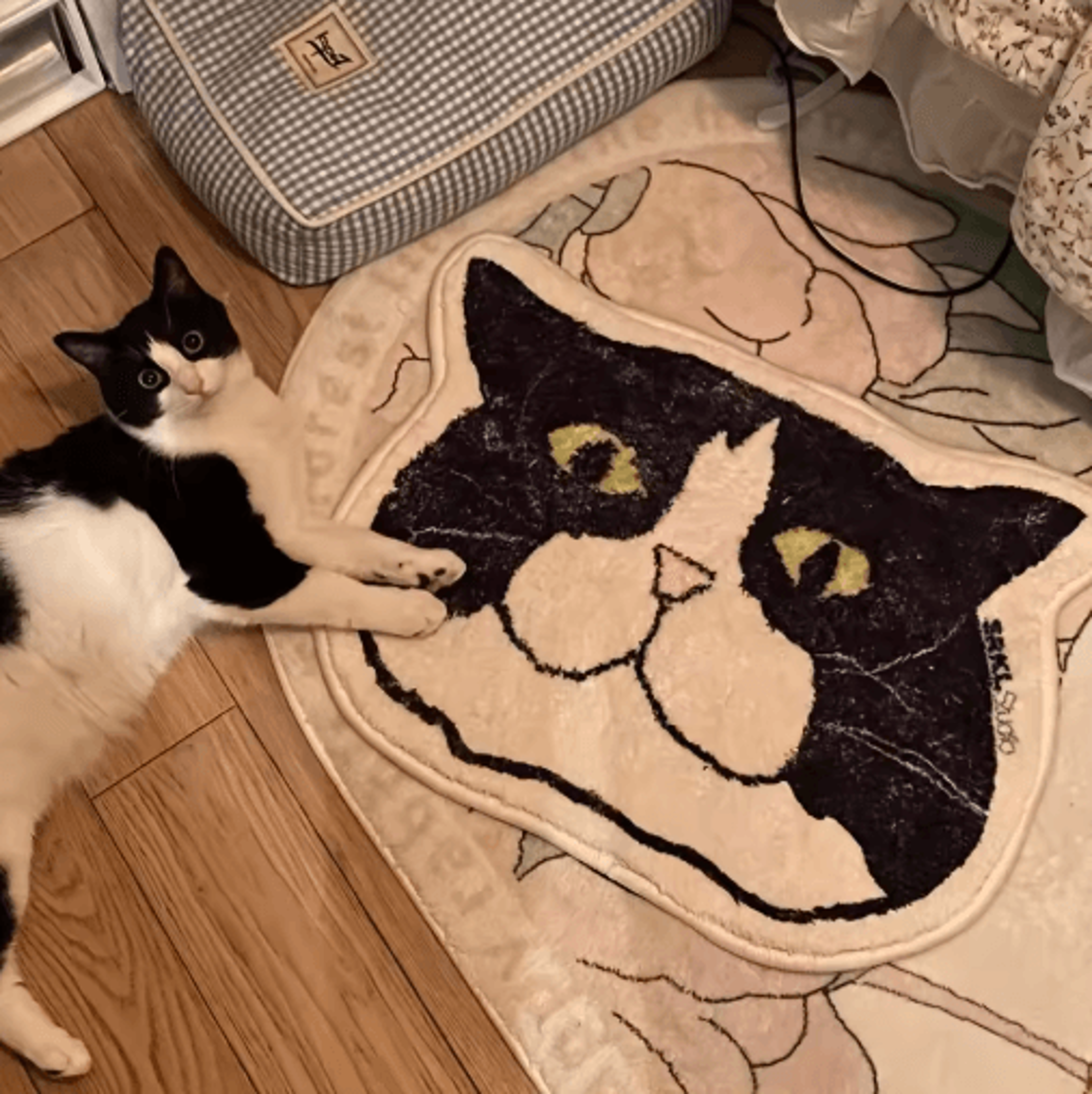 Cute Cat Floor Mat Non Slip Waterproof Bathroom  Home Rug 2