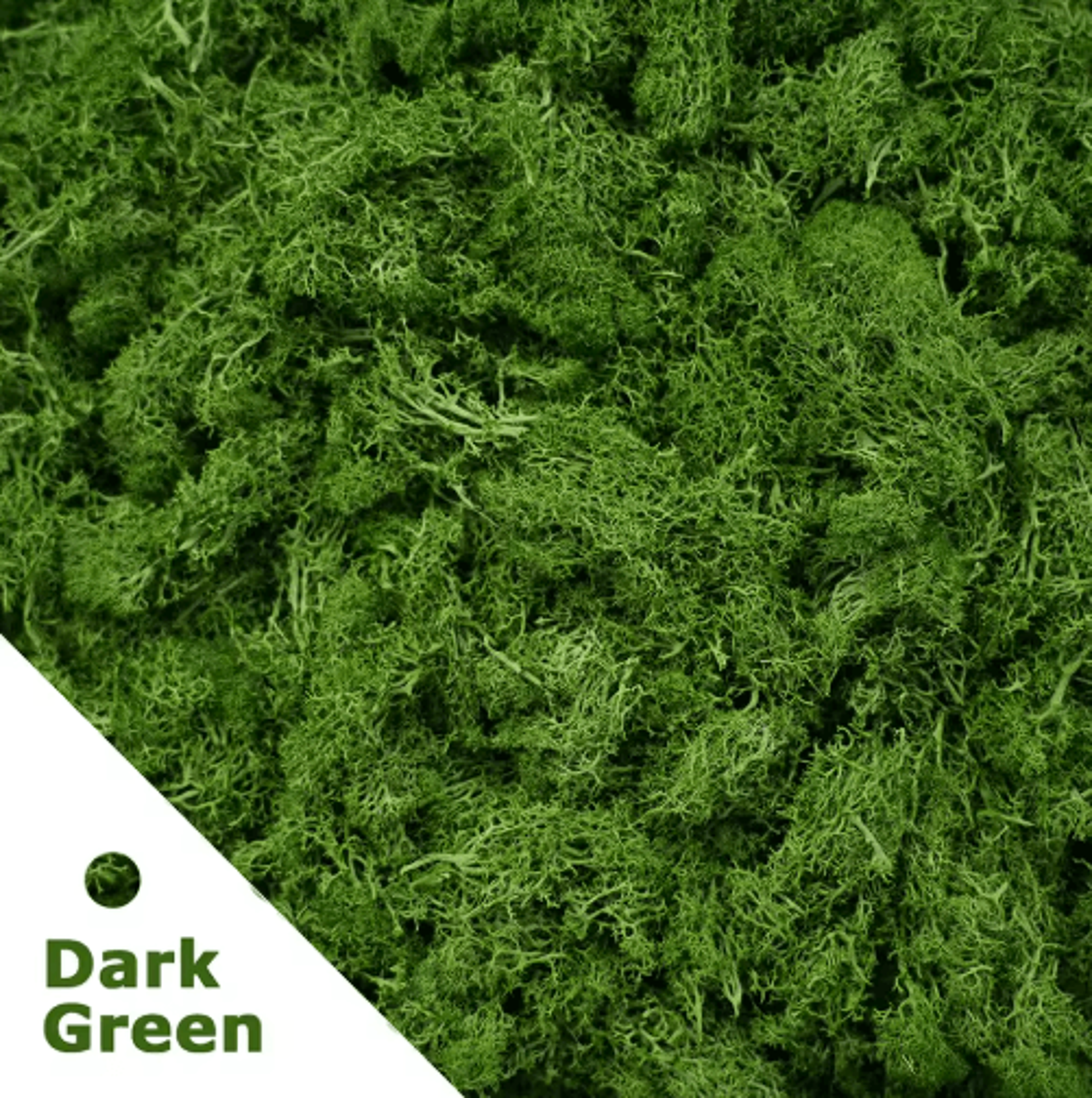 Artificial Moss Grass Decor 200g Mini Landscape Greenery For DIY  Home Styling 8