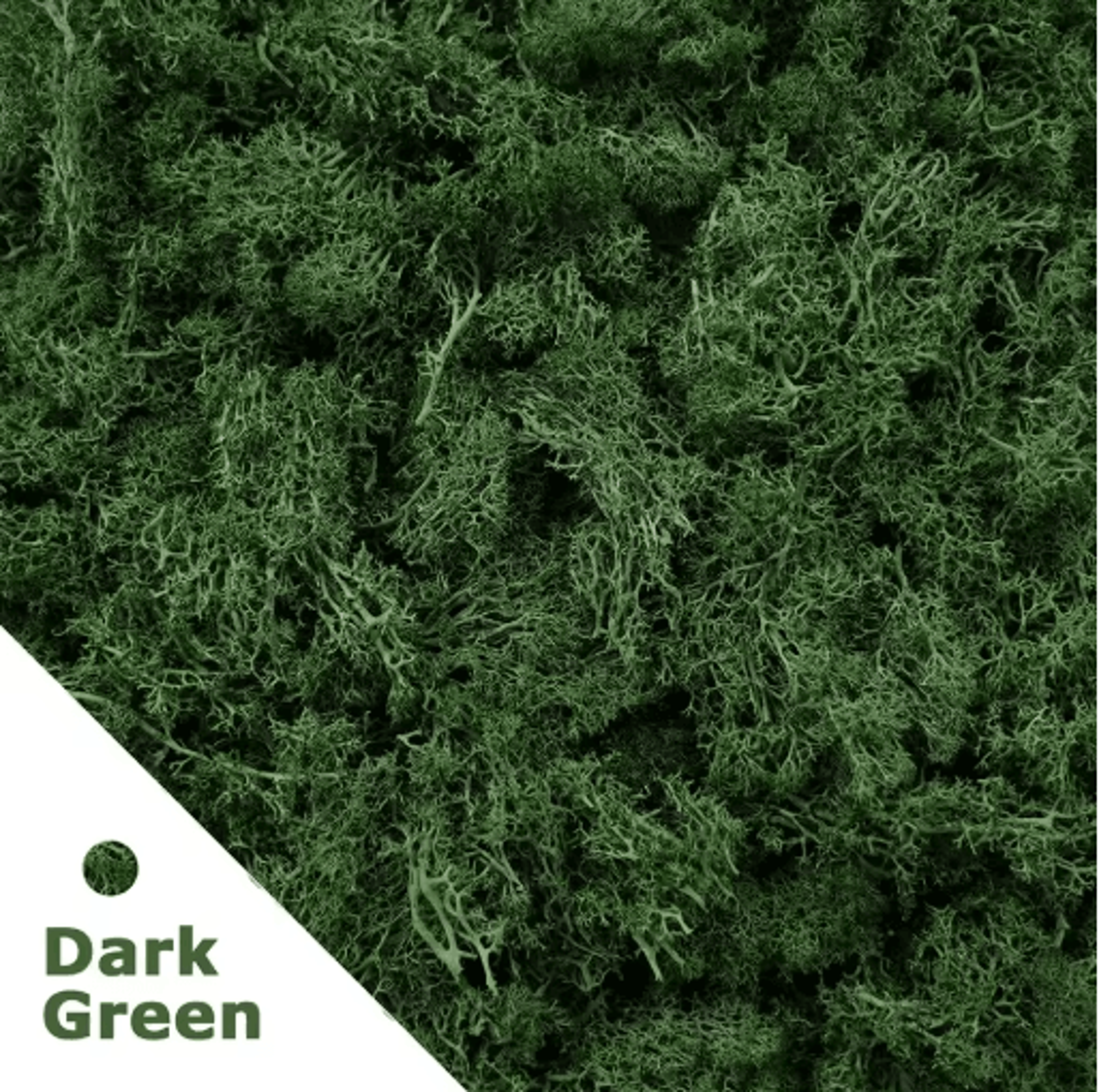 Artificial Moss Grass Decor 200g Mini Landscape Greenery For DIY  Home Styling 9