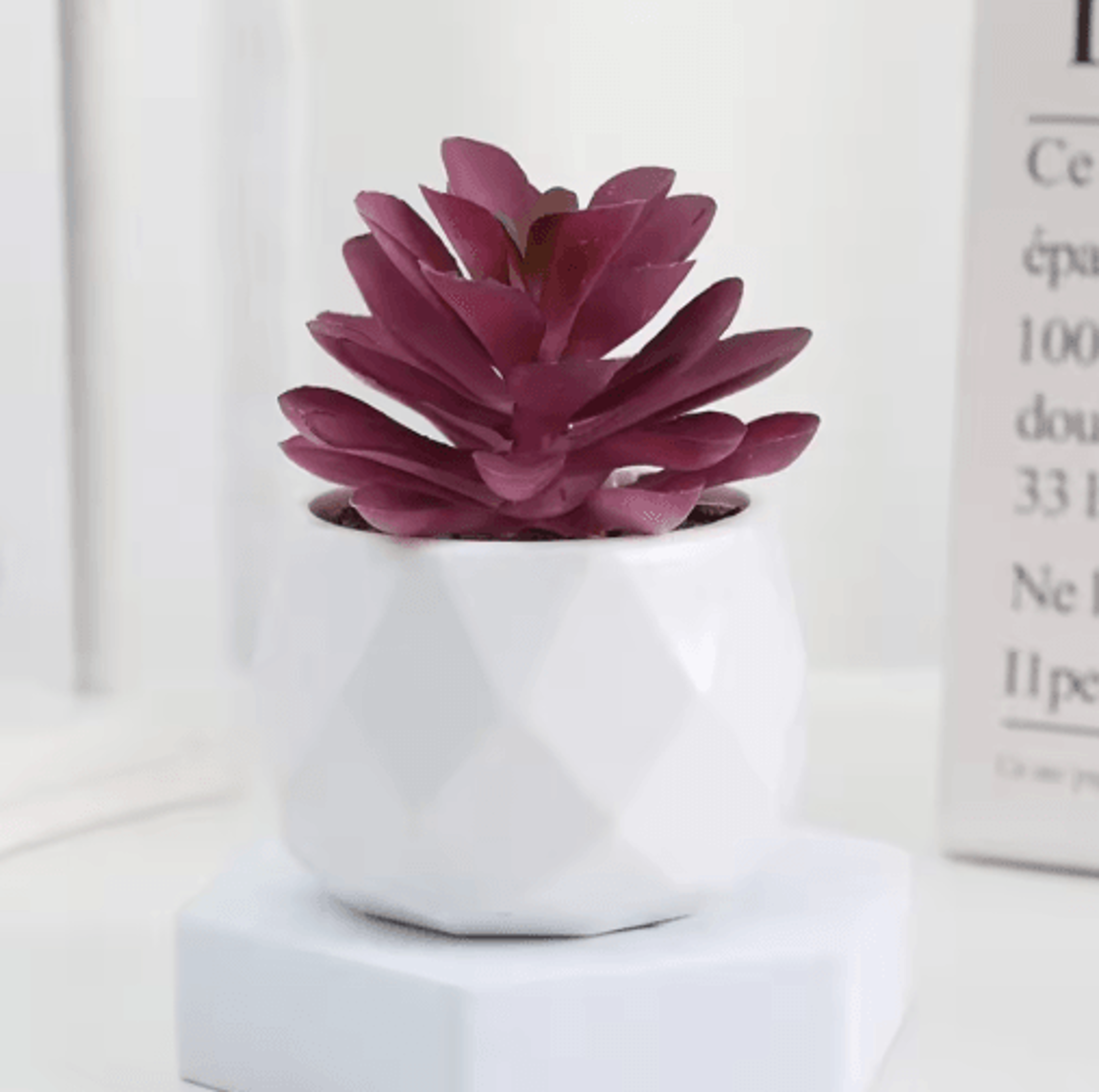 Artificial Succulent Bonsai Set  Mini Evergreen Cactus Plants For Desk  Home Decor 1