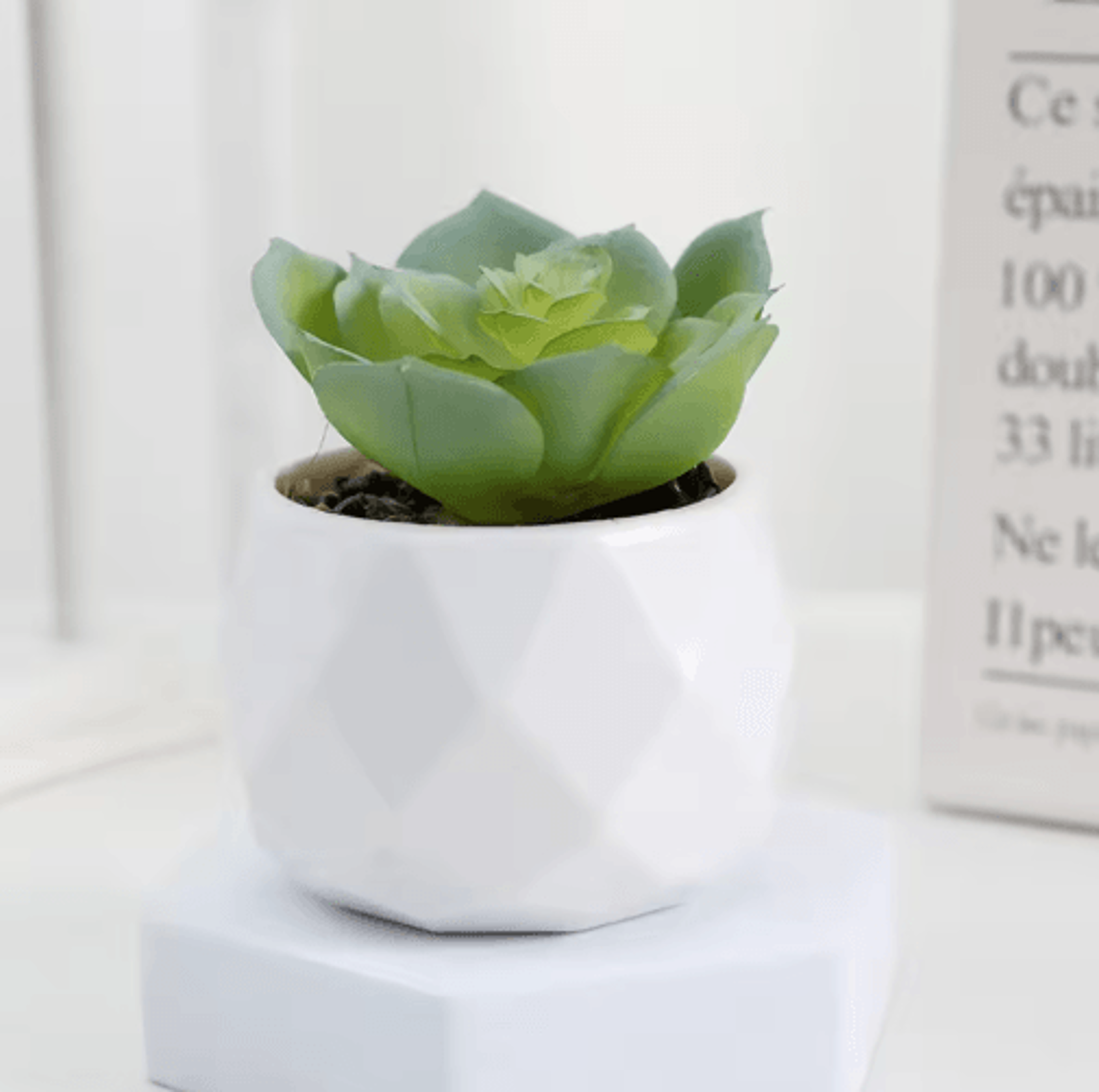 Artificial Succulent Bonsai Set  Mini Evergreen Cactus Plants For Desk  Home Decor 10