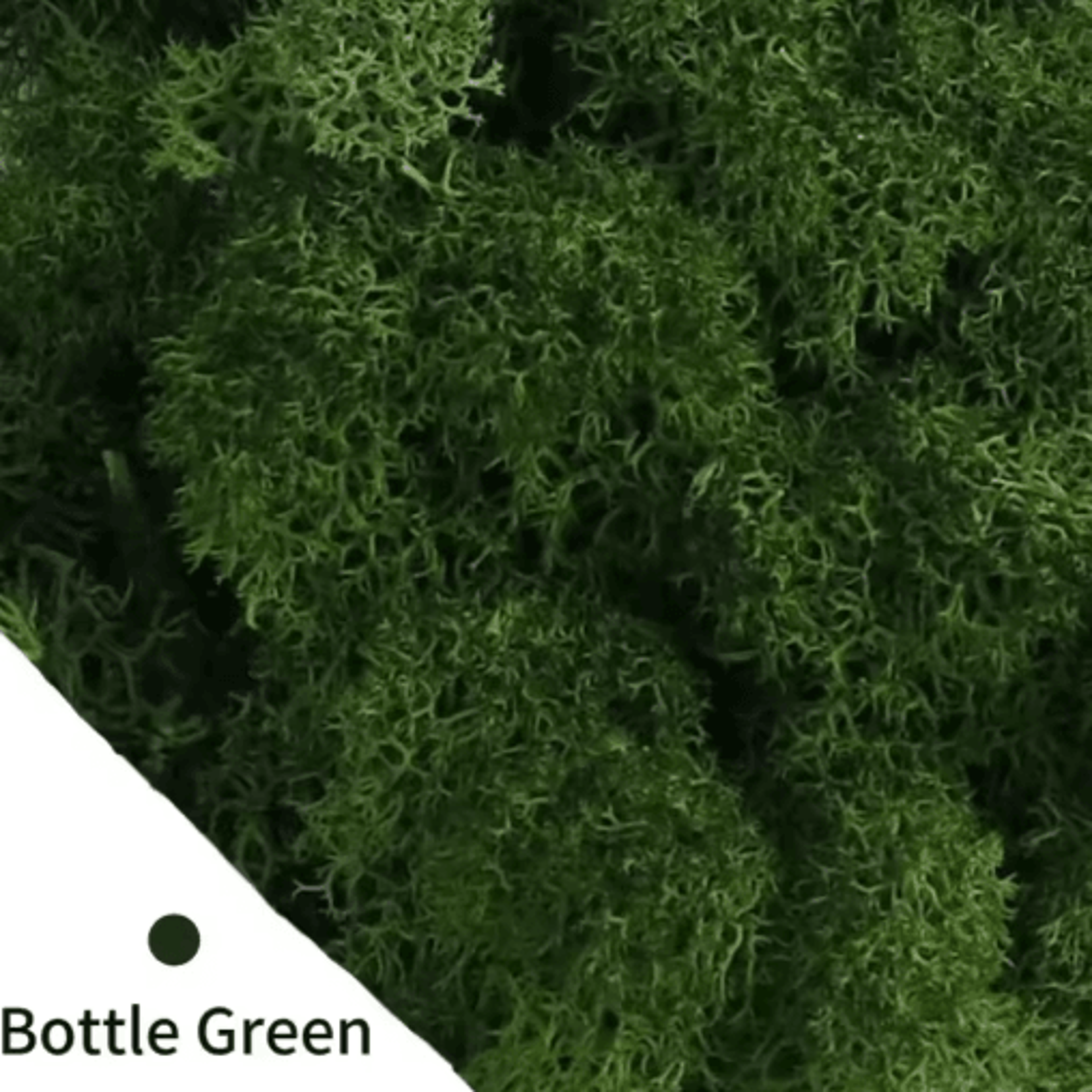 Natural Look Artificial Green Moss Preserved Moss Decor For Mini Gardens  Wall Accents 6