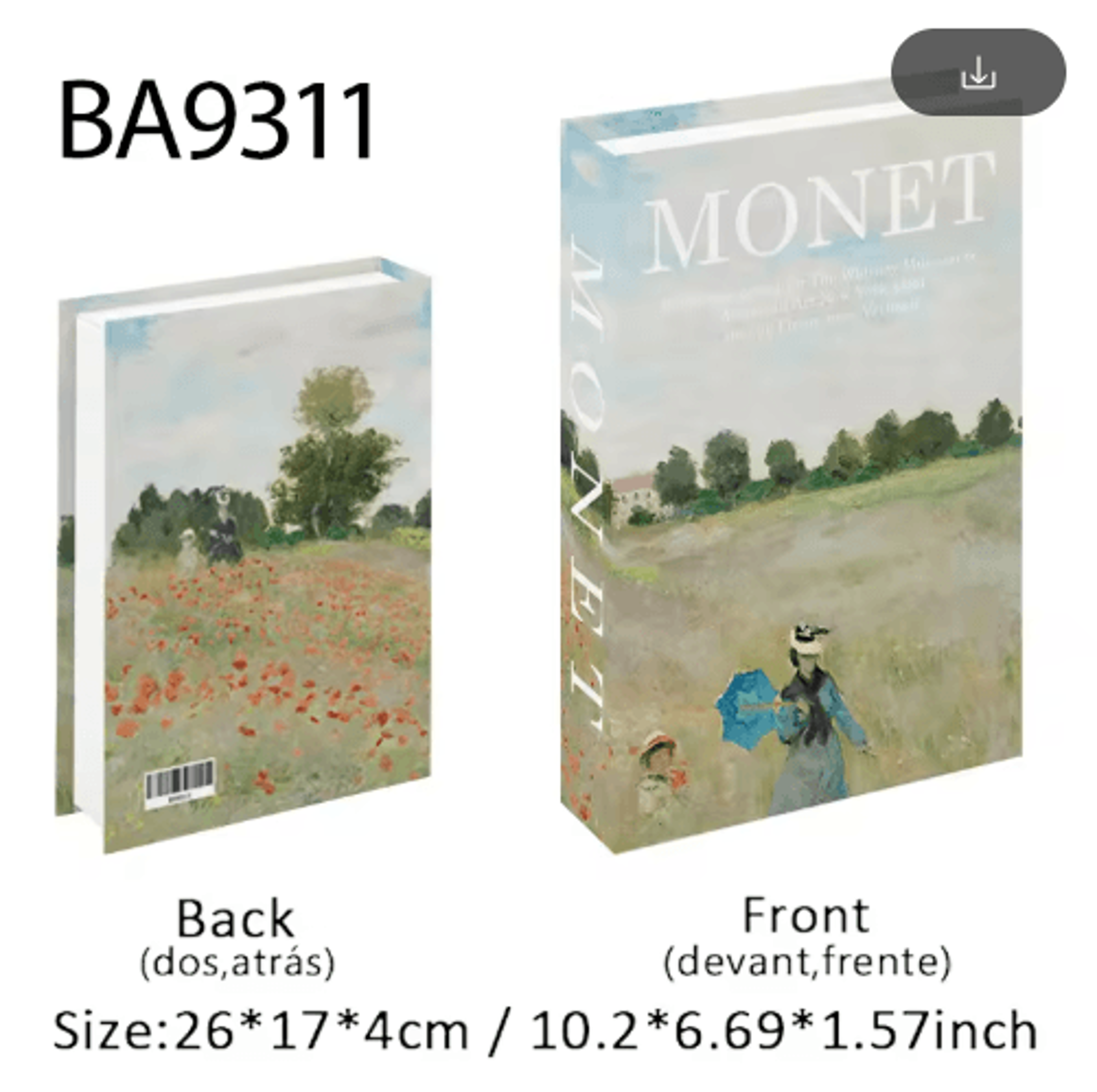 Van Gogh Monet Picasso Decorative Book Storage Box Luxury Hidden Storage Decor 21