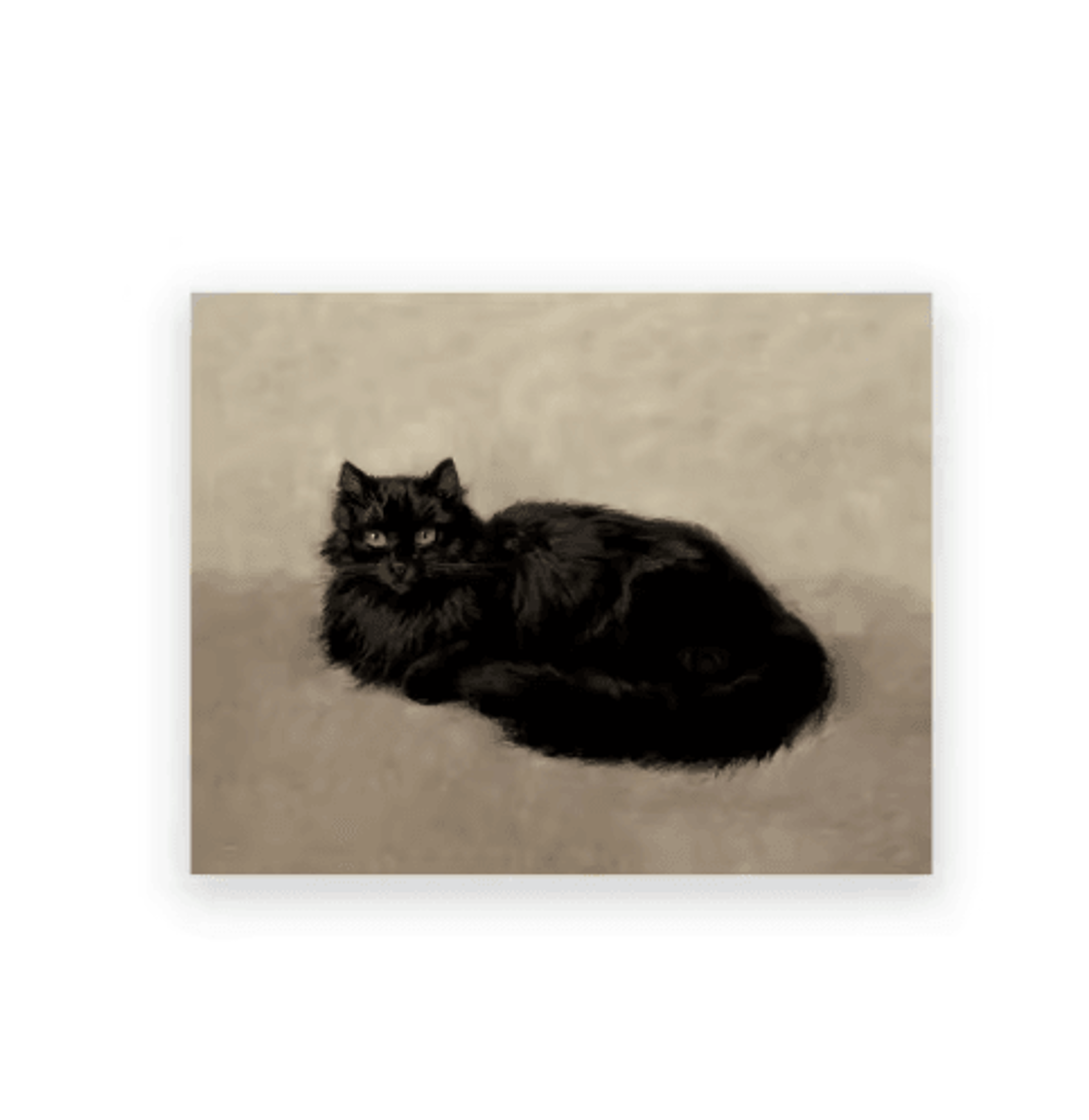Vintage Owl Wall Art Moody Cottagecore Dark Academia Nature Canvas Print 19