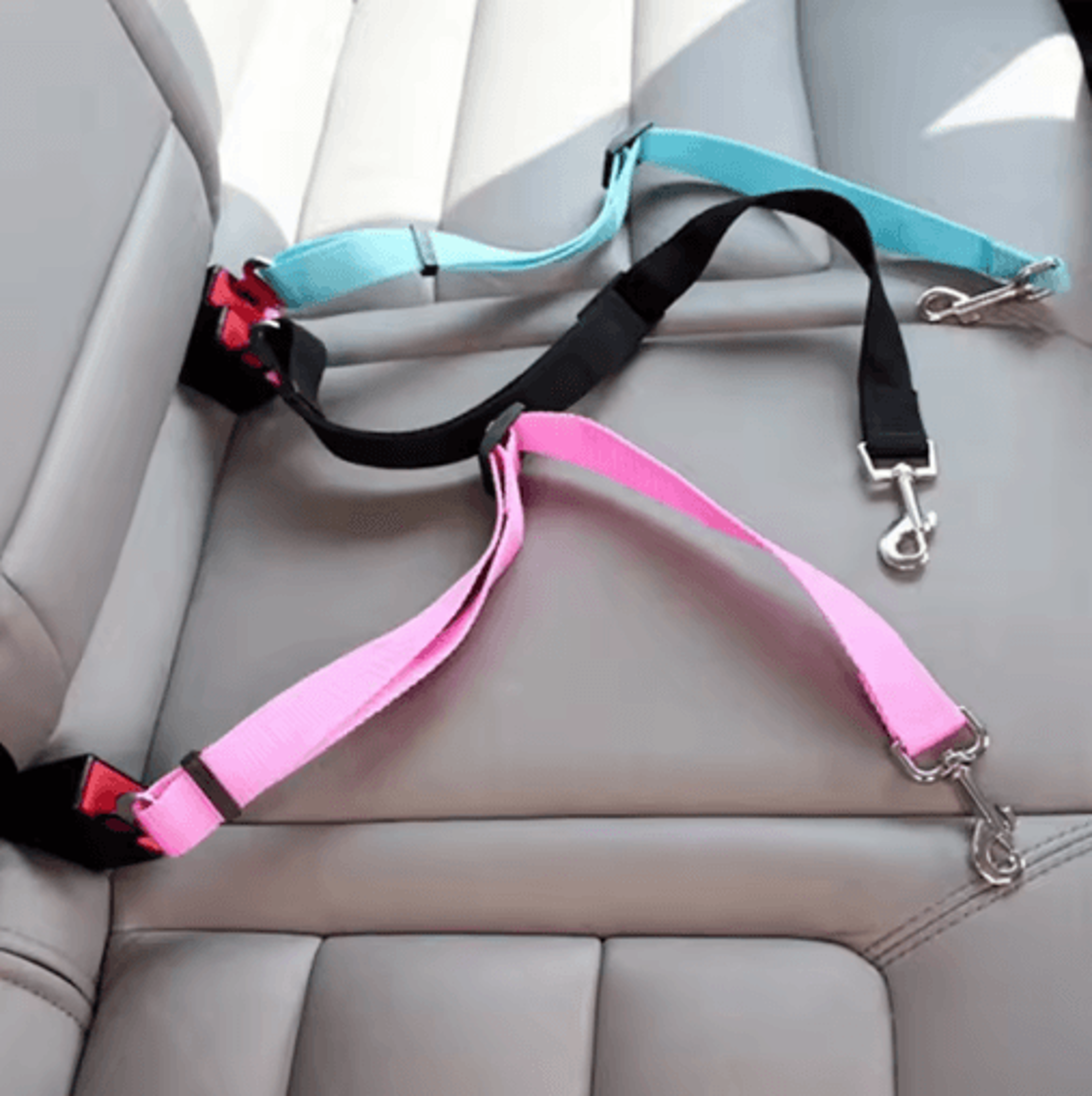 adjustable dog car seat belt safety leash for secure pet travel