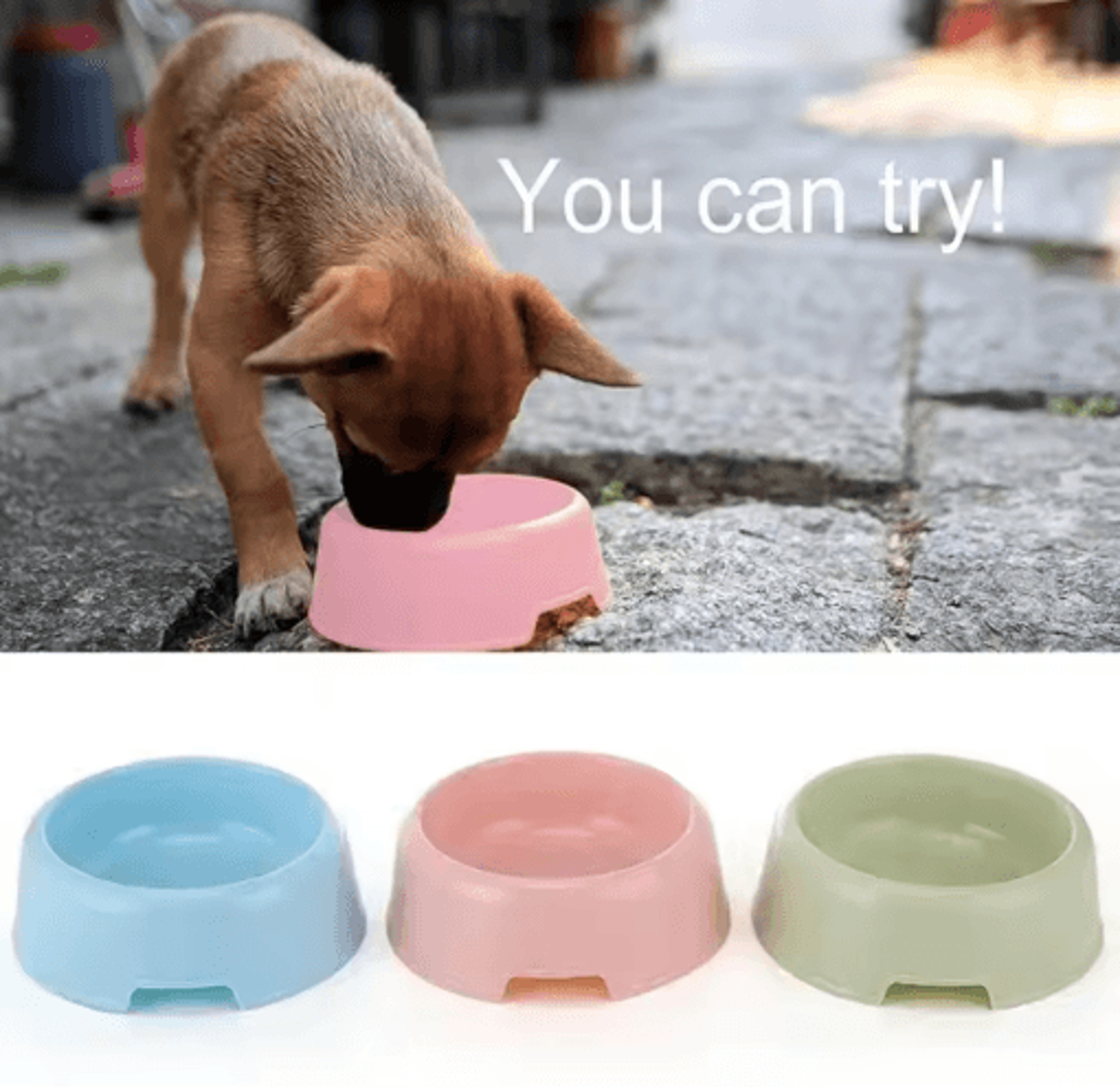 CandyPaw Colorful Pet Feeding Bowl  Lightweight Cat  Dog Food Dish 6