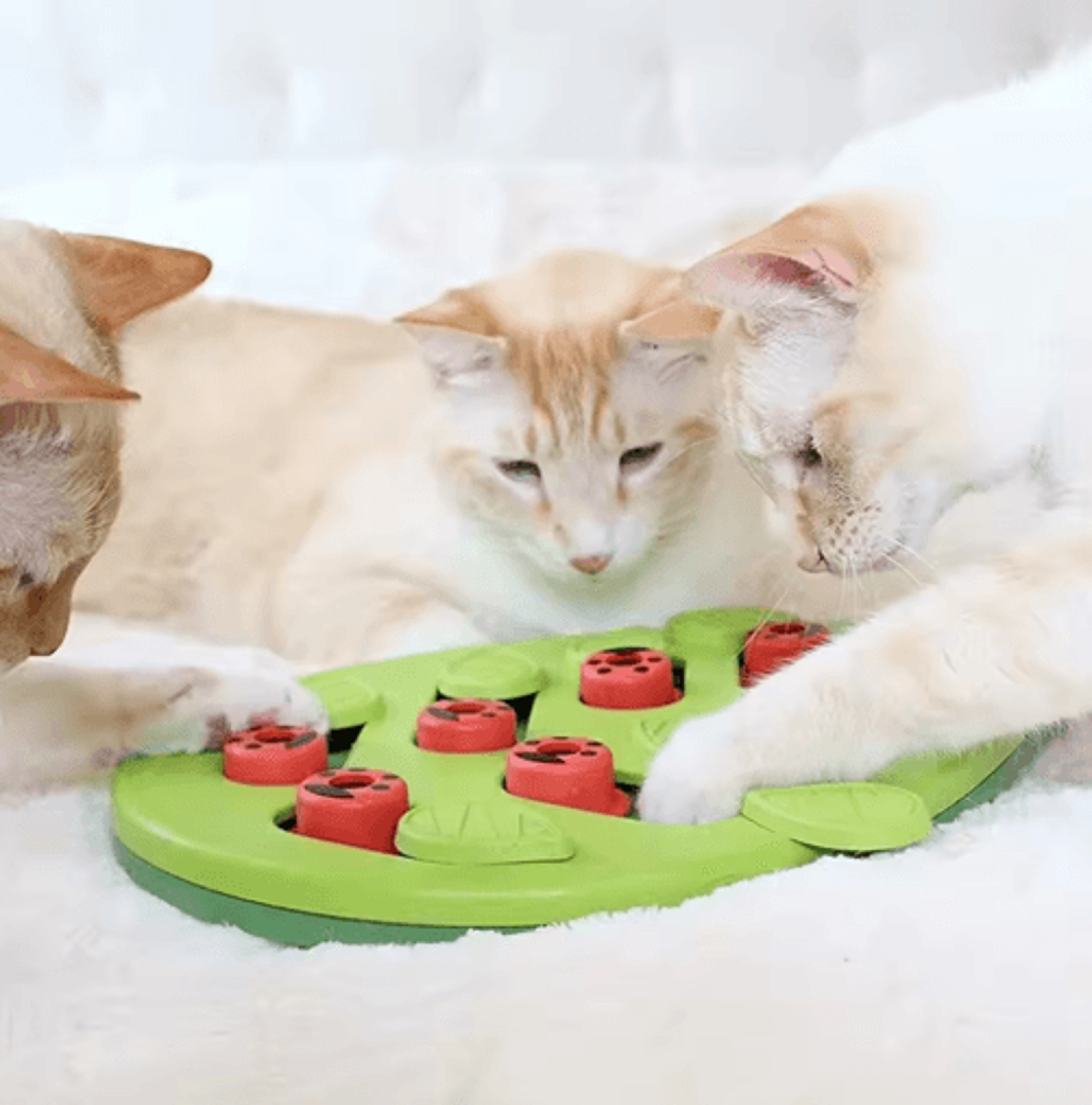 Interactive Cat Puzzle Toy With Adjustable Treat Feeding Challenge 3