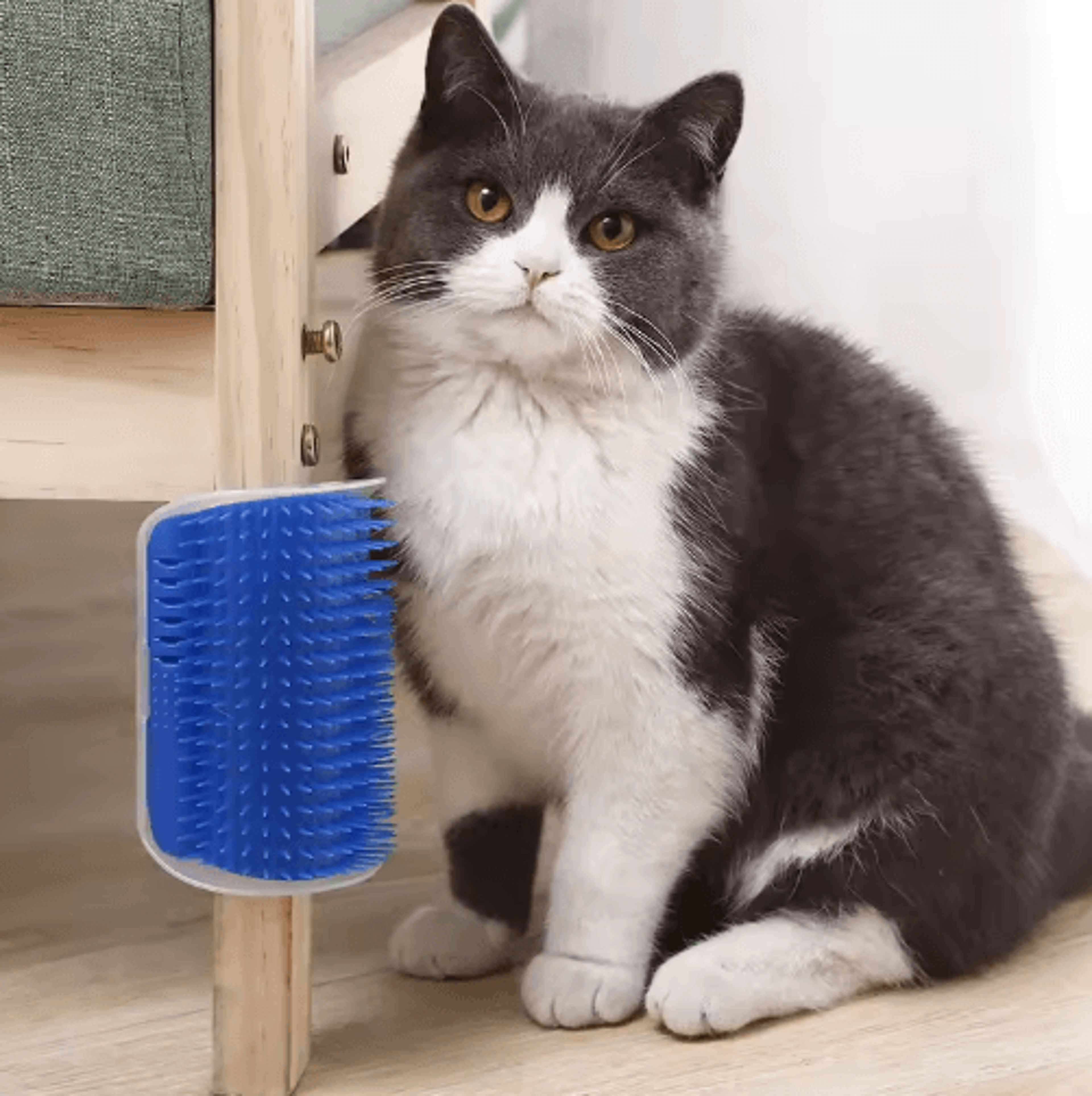 WallMounted Cat Corner Scratcher With Catnip  SelfGrooming Interactive Toy 13