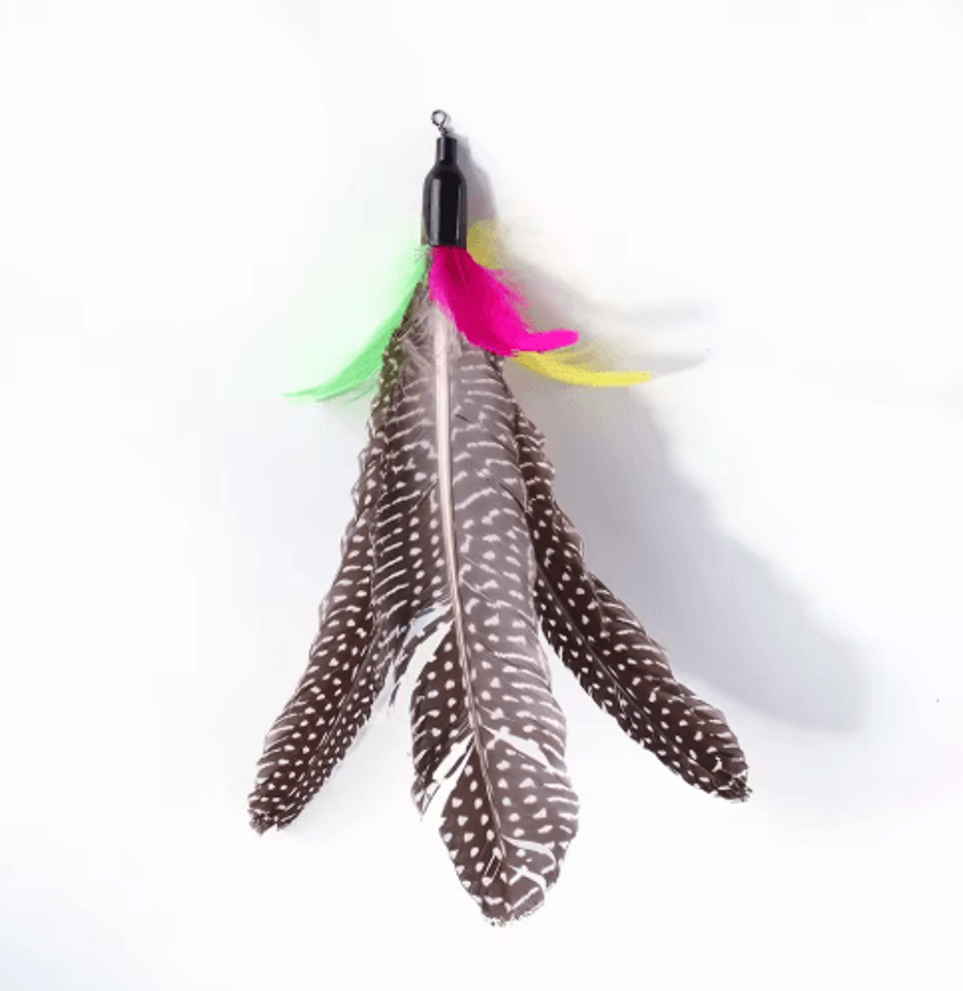 Retractable Cat Wand Toy Set  Feather Teaser With Caterpillar Replacement Heads 5