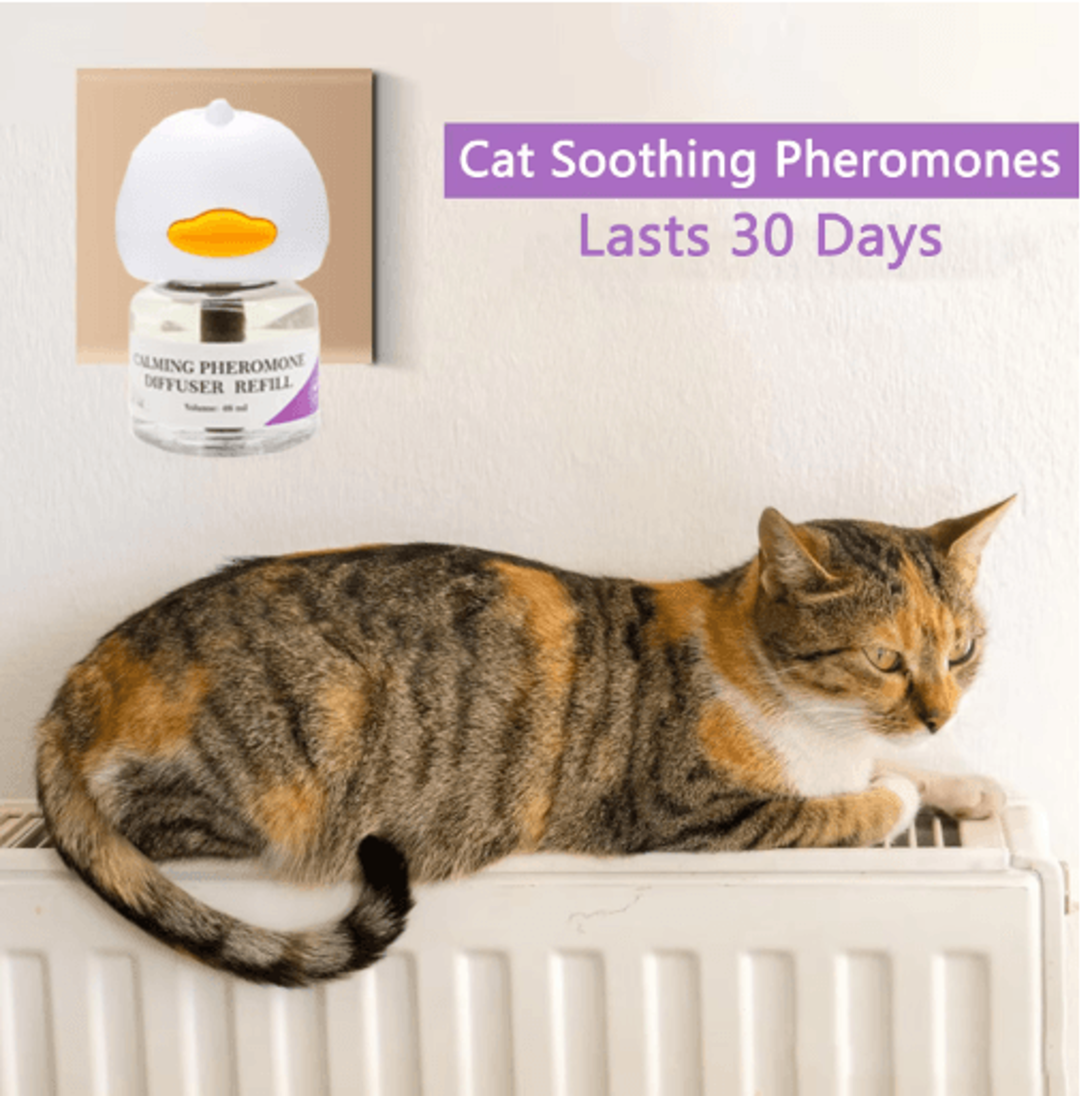 Cat Pheromone Diffuser Starter Kit  30Day Calming PlugIn For Stress Relief 5