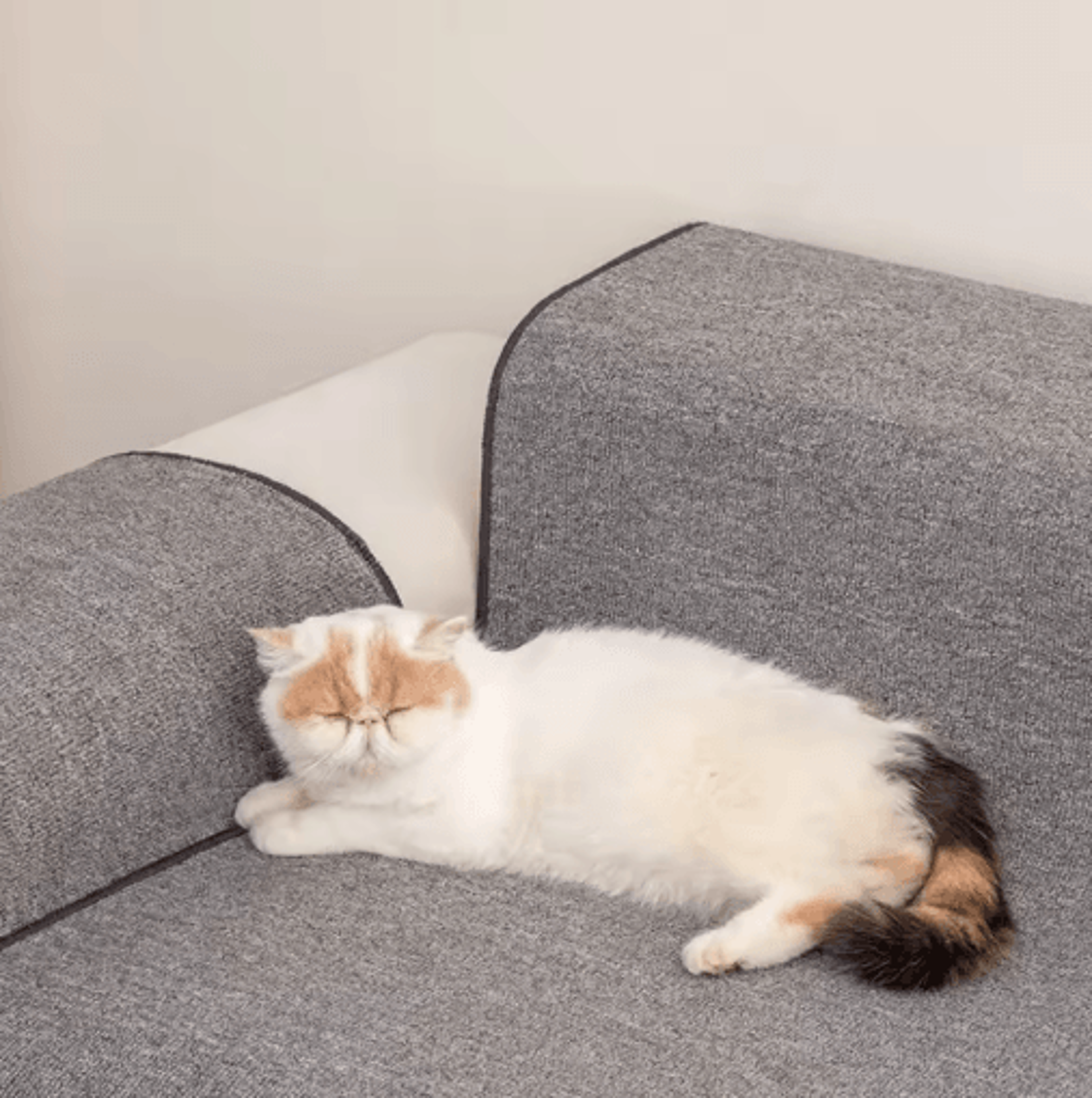 Large Cat Scratching Mat  NonSlip Furniture  Sofa Protector For Cats 3