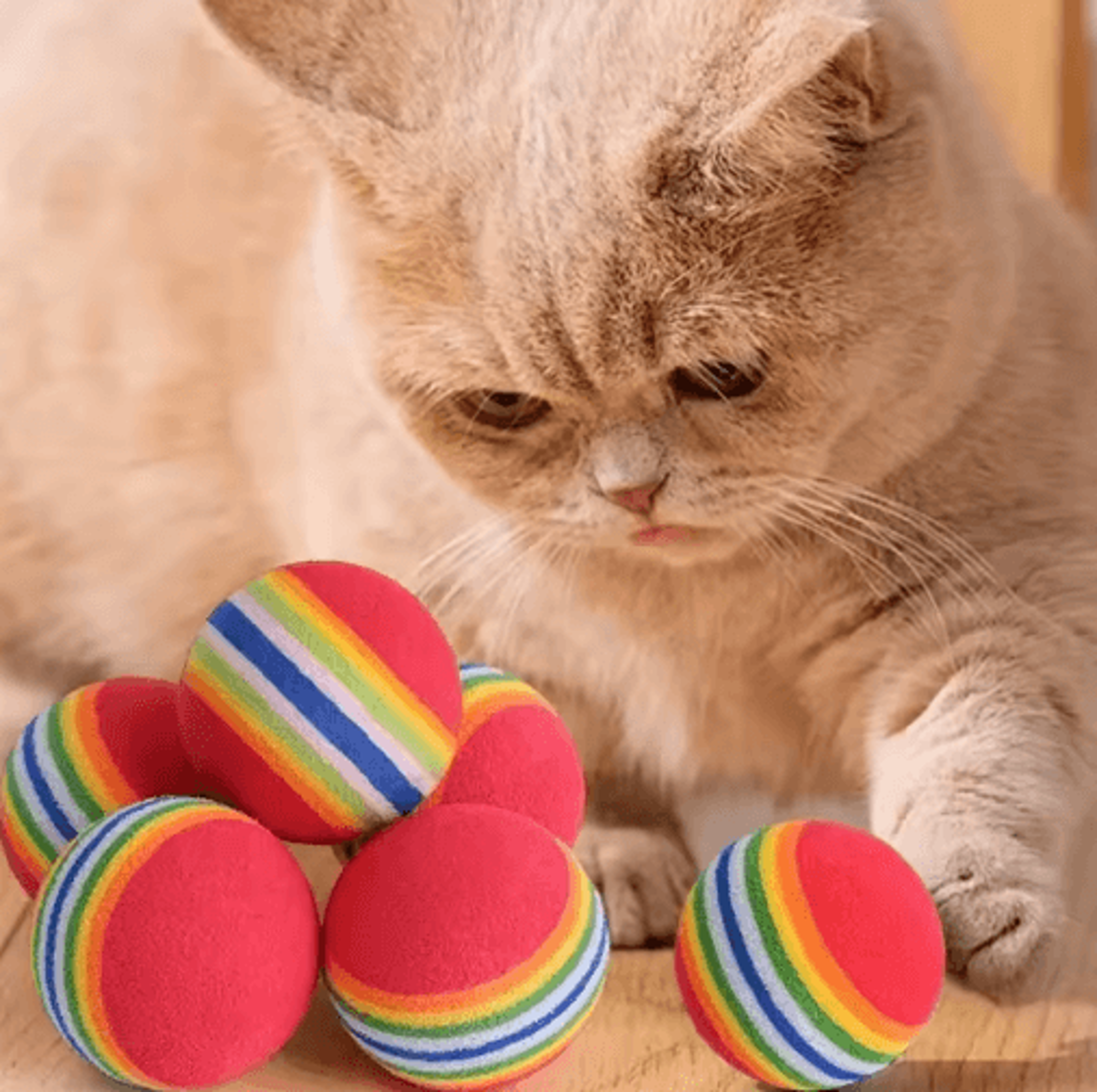 Rainbow EVA Pet Toy Balls Set  Cat Toy Balls For Interactive Play Training  Exercise 8